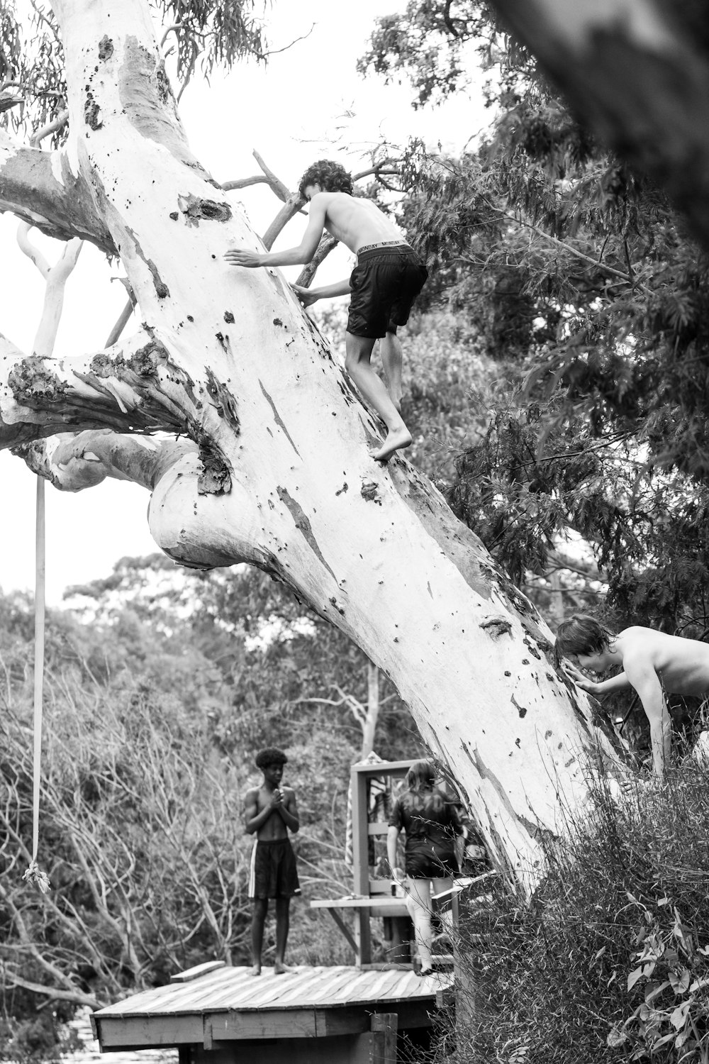 a group of people climbing up a tree