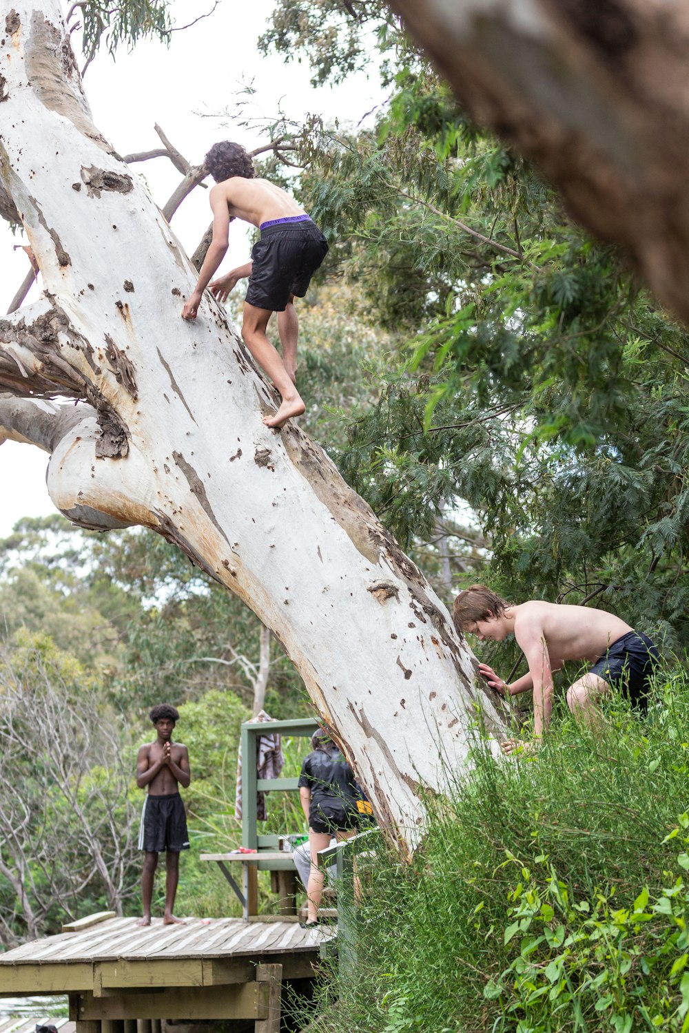 a group of people climbing up a tree