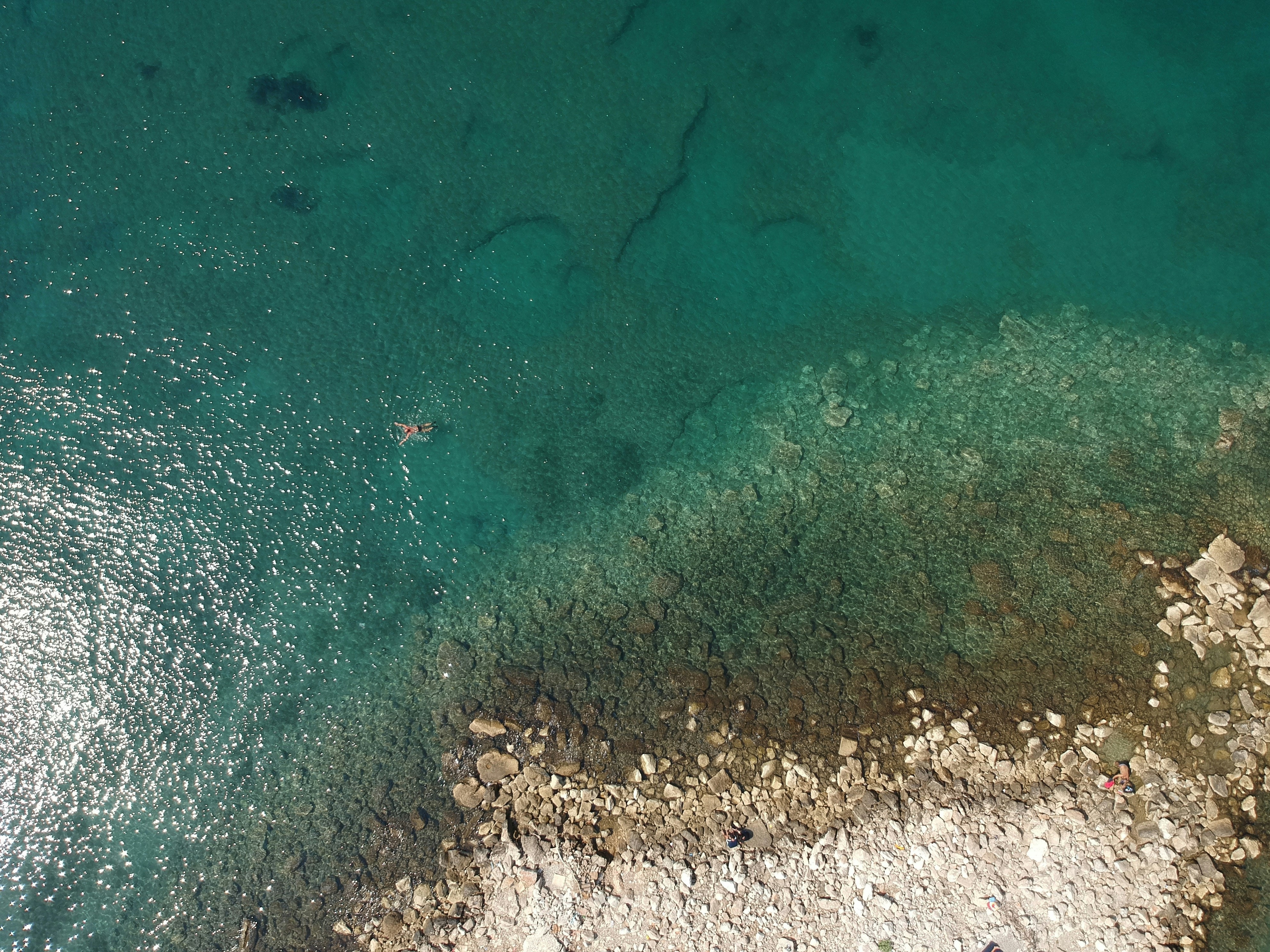 Photo by growthwithalex