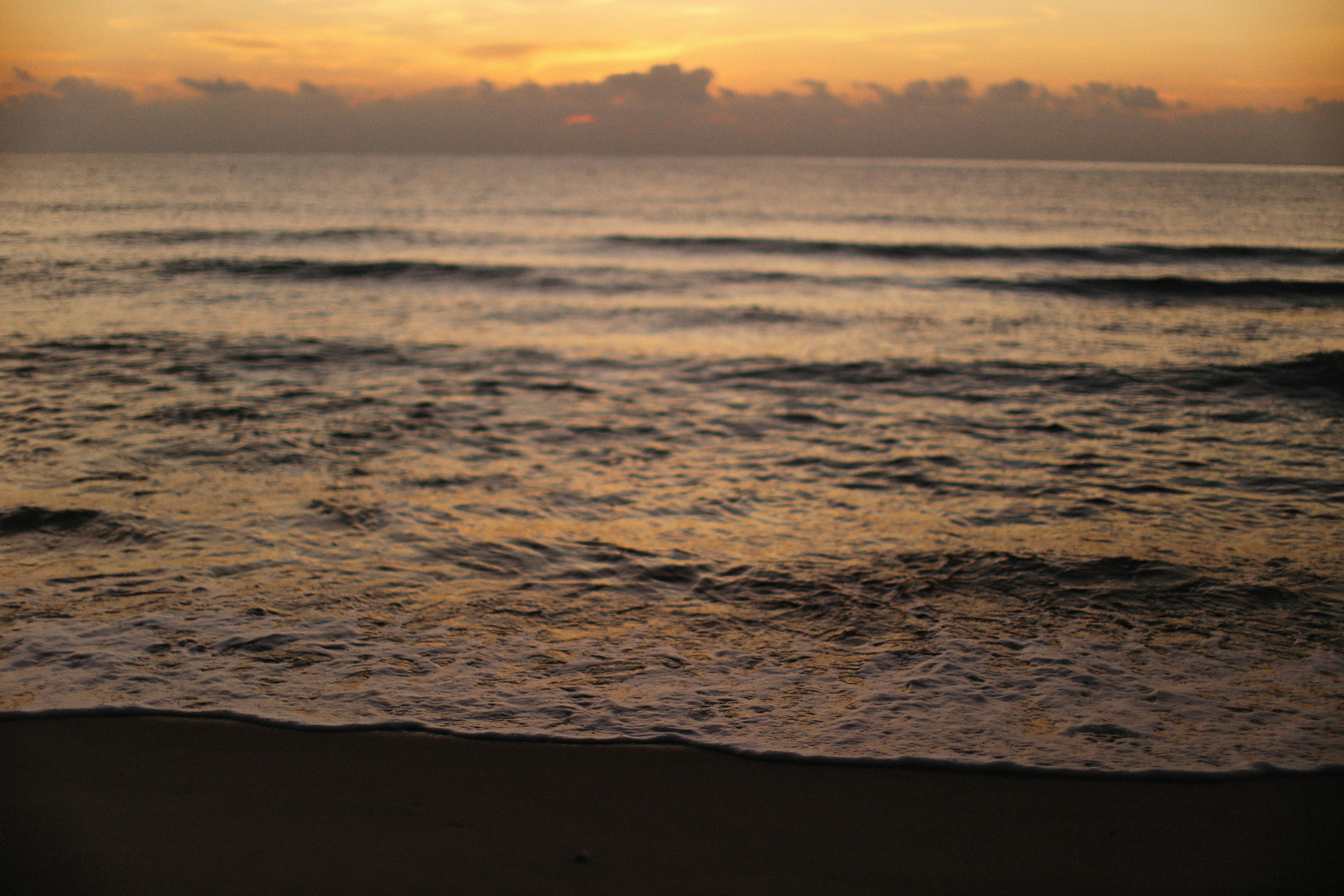 Photo by alexeydemidov