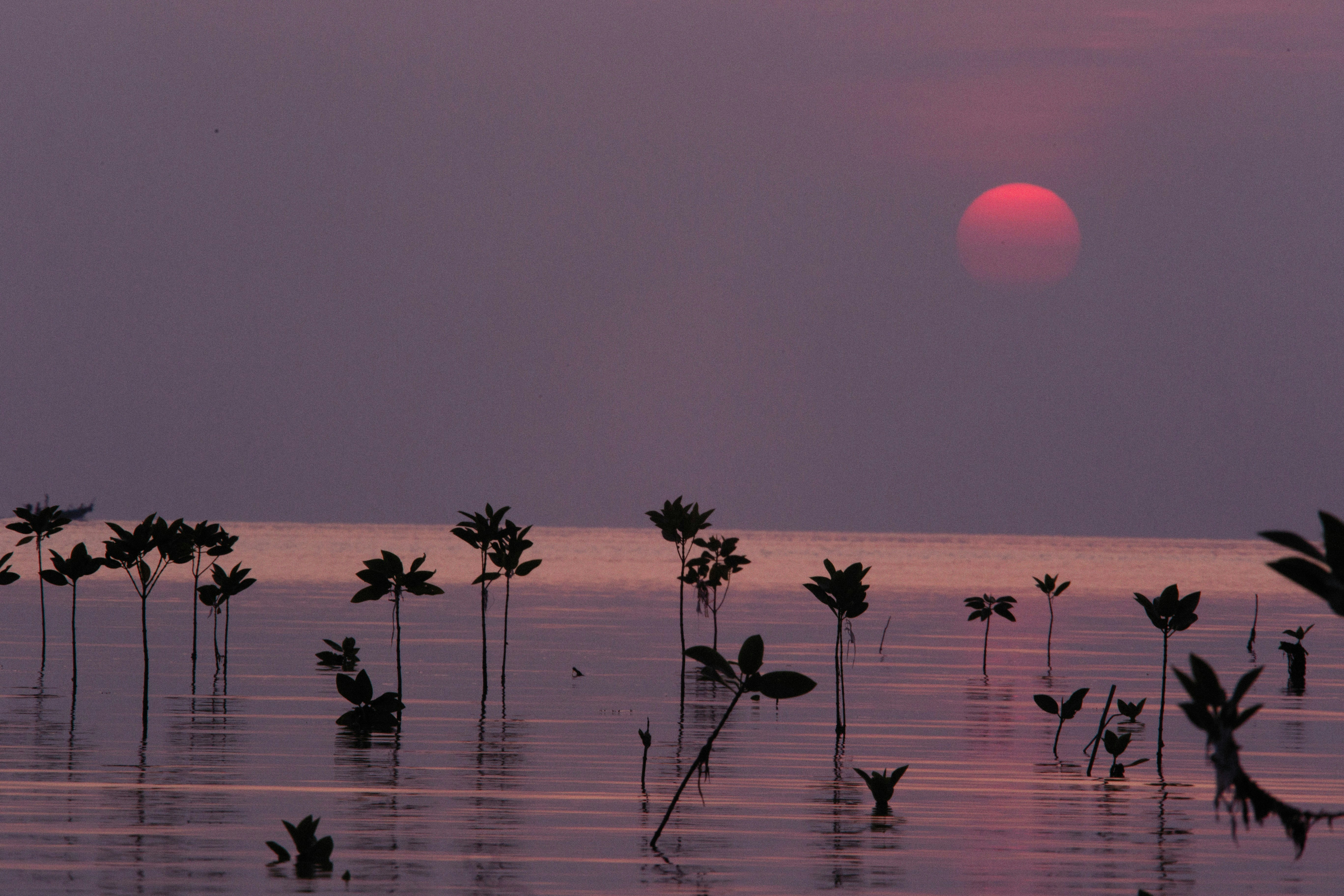 Photo by alexeydemidov