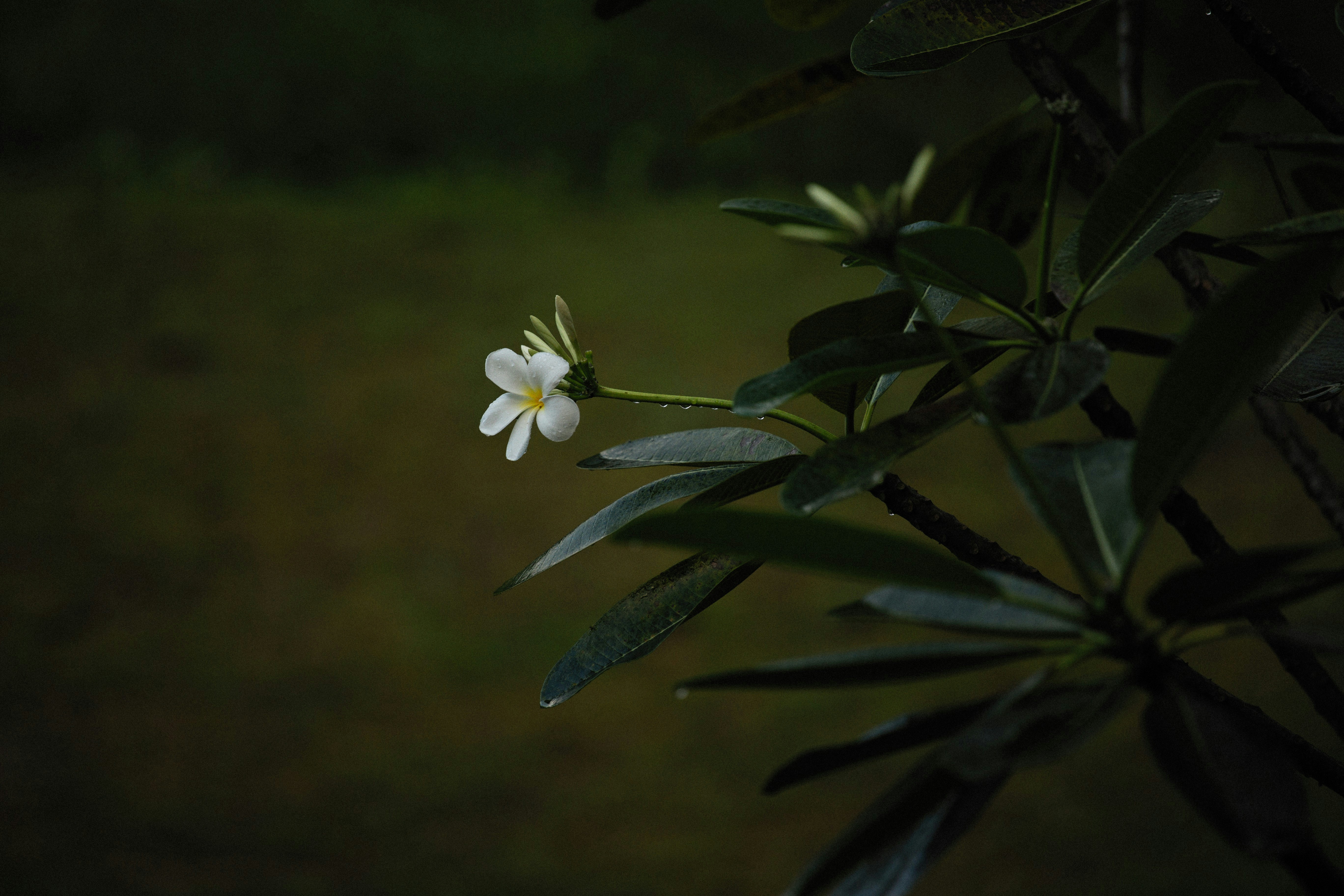 Photo by alexeydemidov