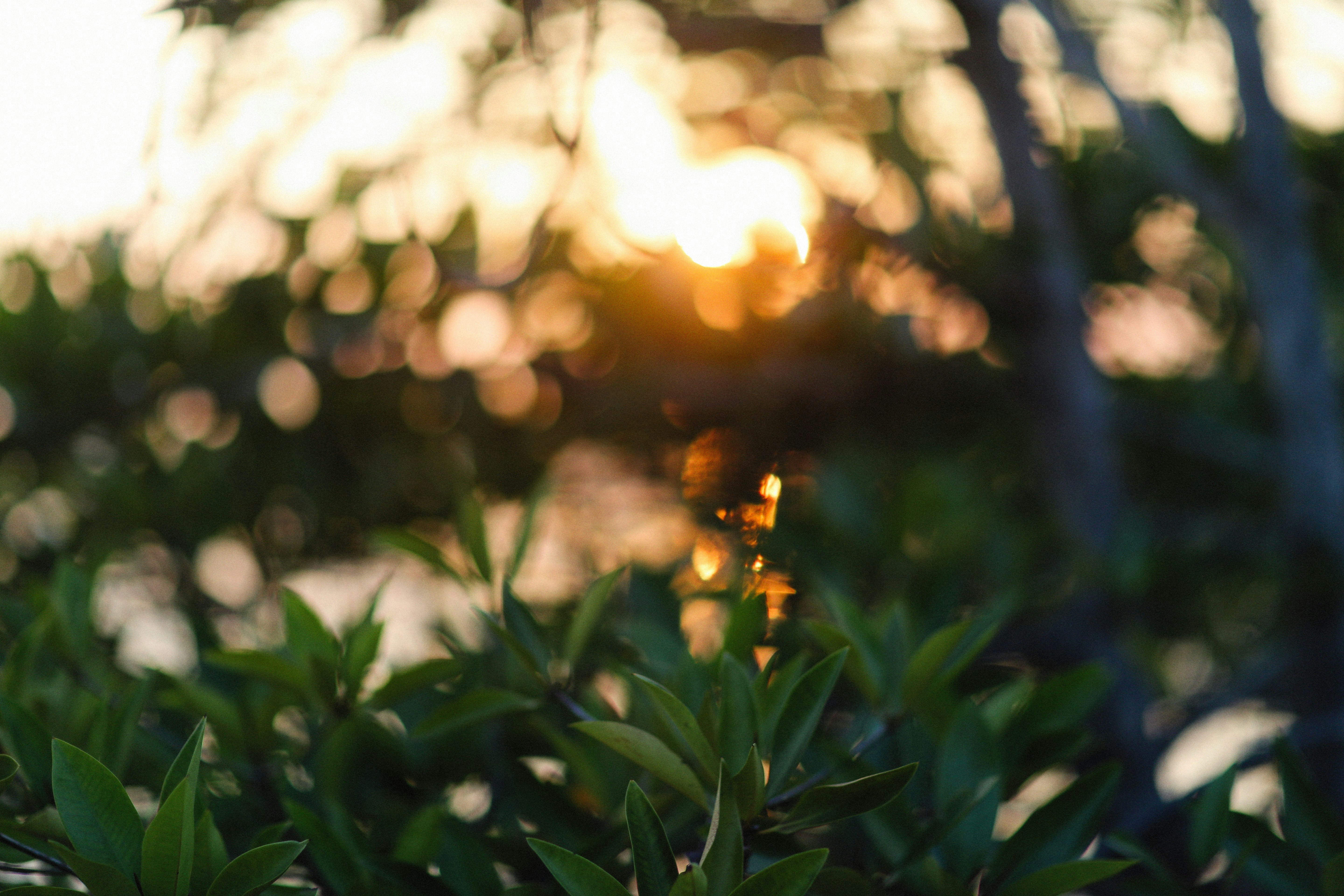 Photo by alexeydemidov