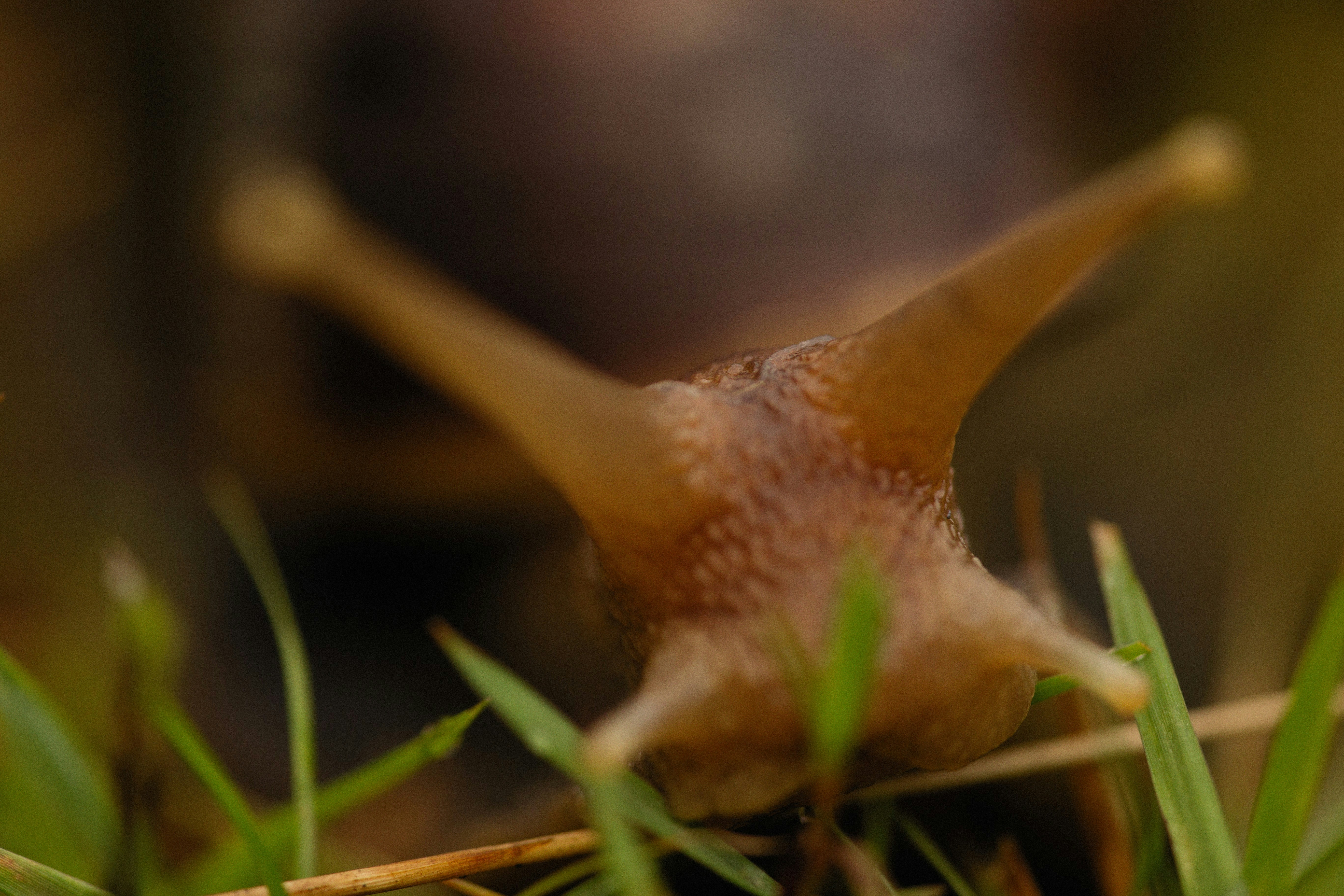 Photo by alexeydemidov