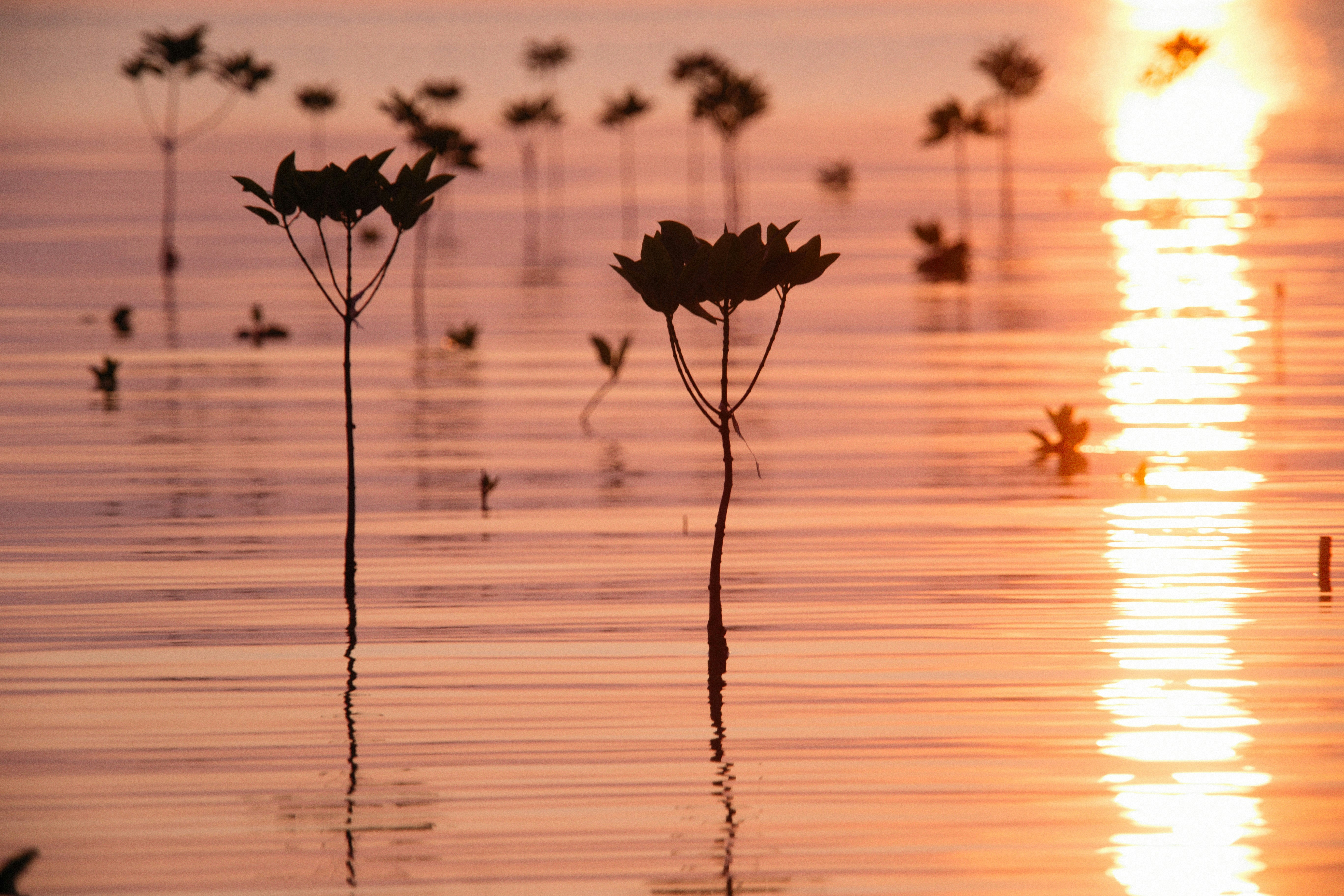 Photo by alexeydemidov