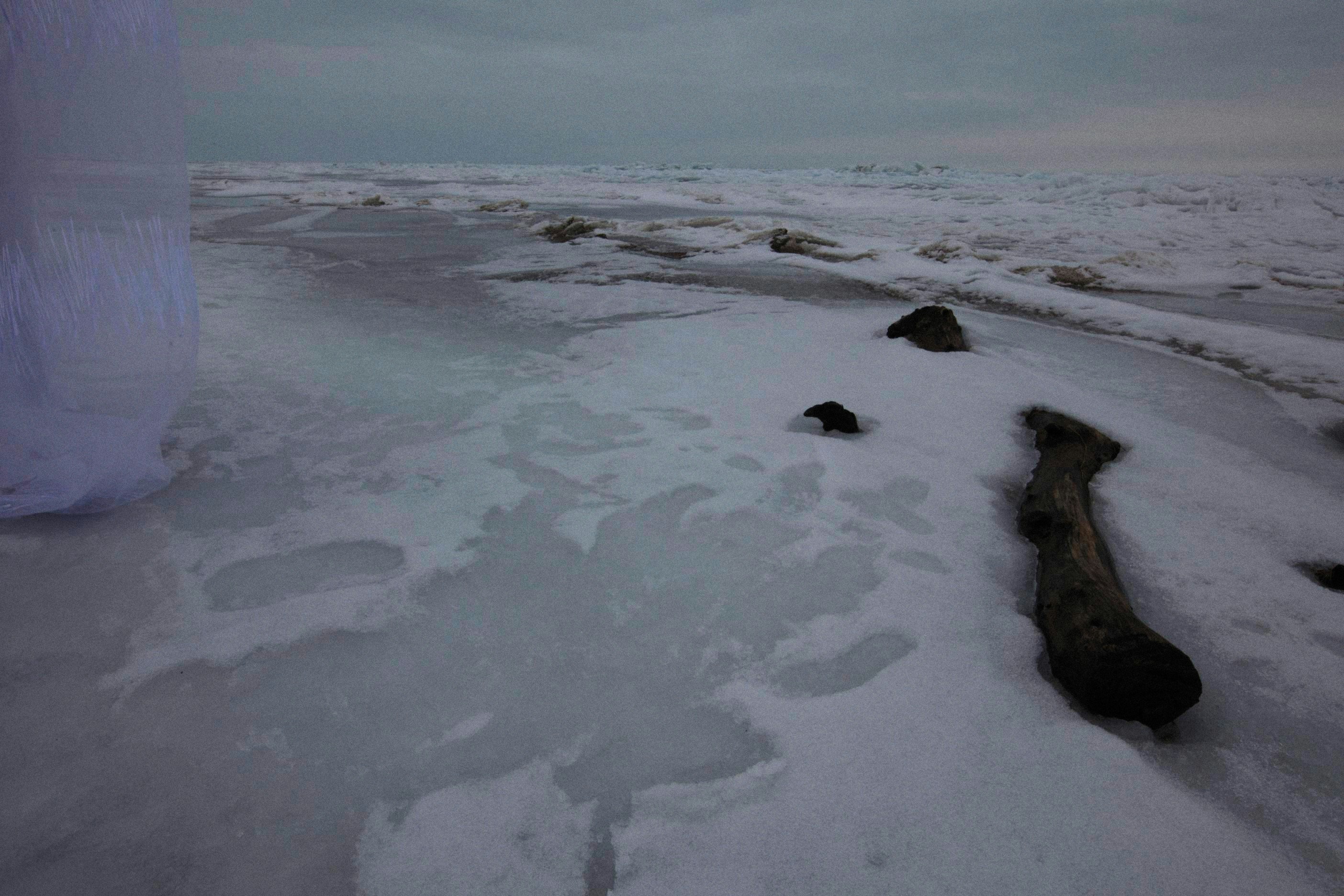 Photo by alexeydemidov