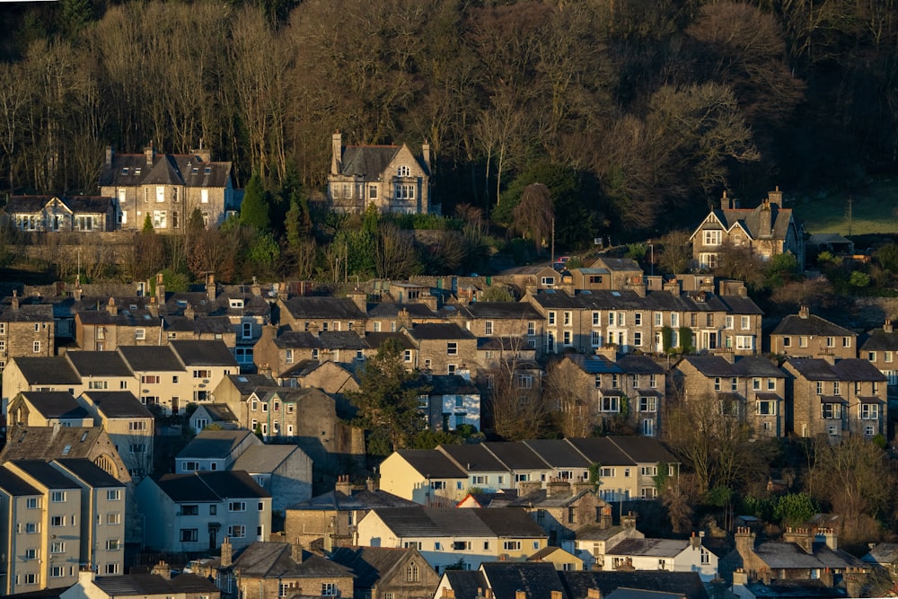 an aerial view of a city with houses and trees