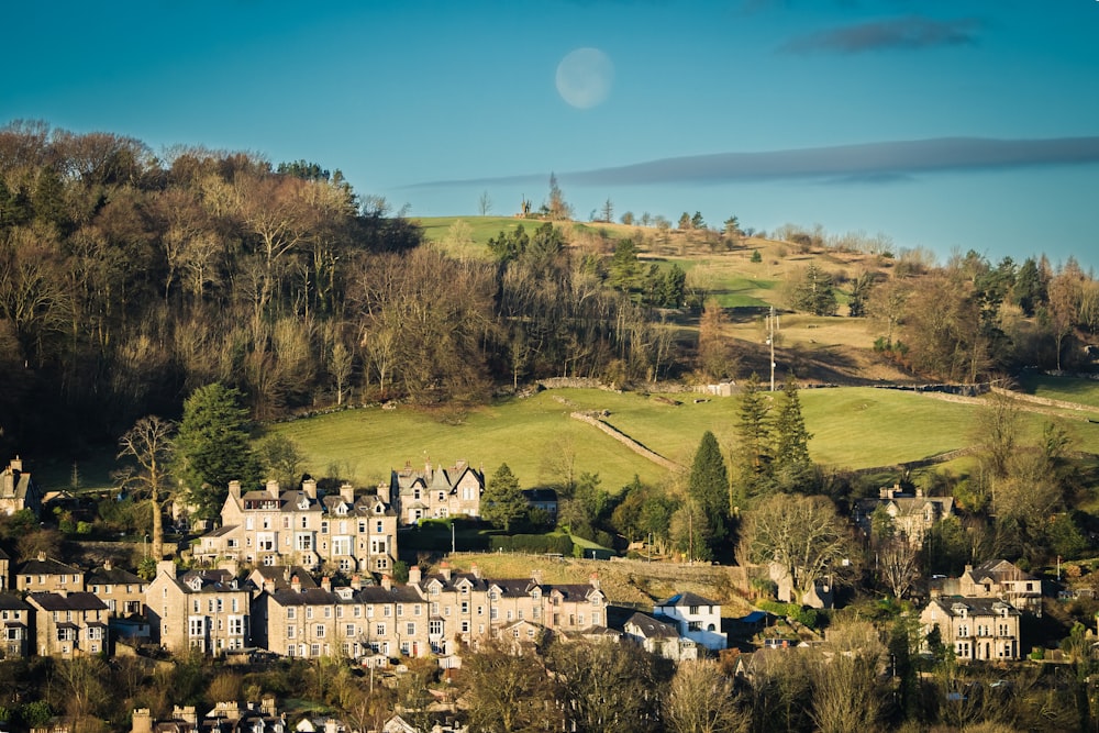 an aerial view of a village in the countryside