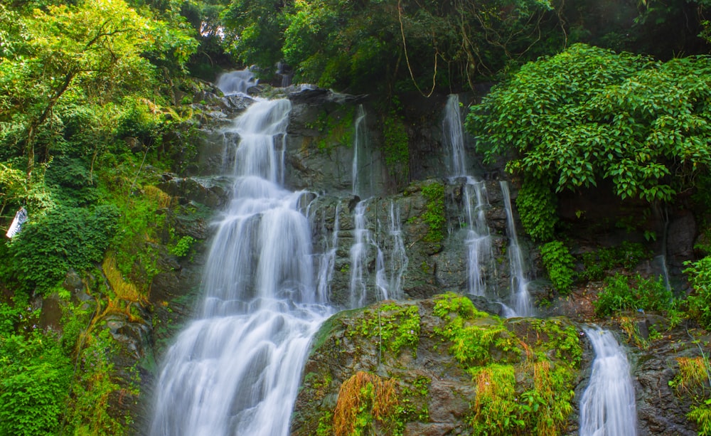 a large waterfall in the middle of a forest