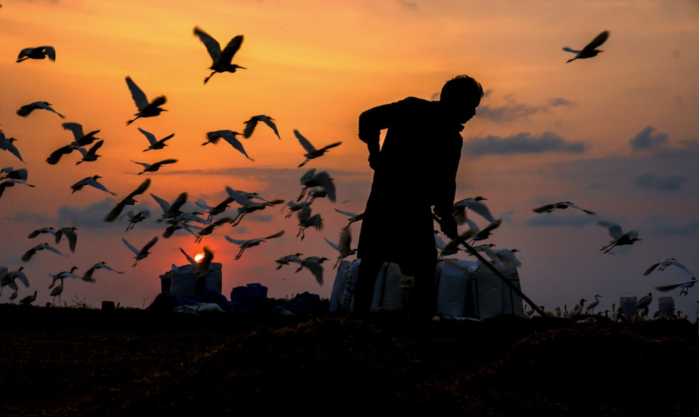 a man standing in front of a flock of birds