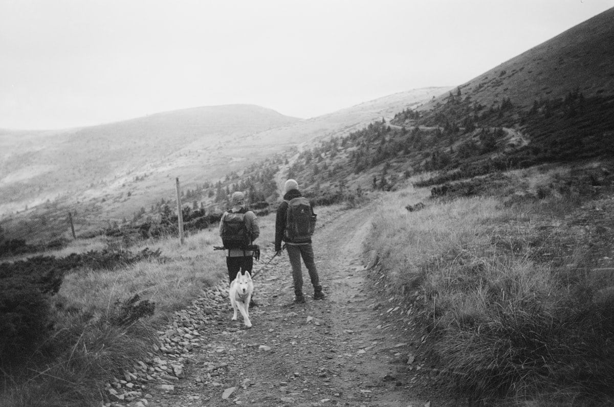 Two people walking with dog on dirt path