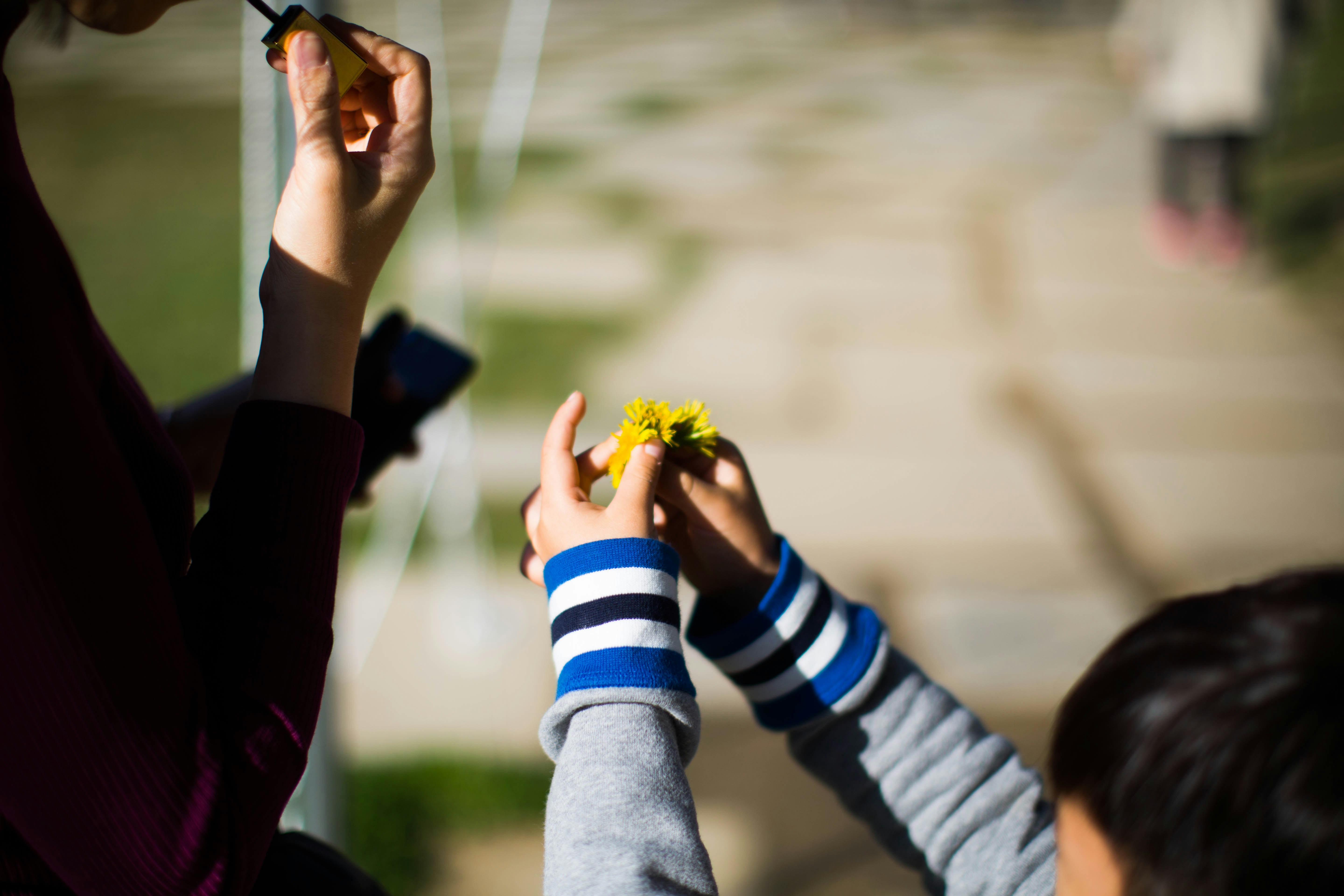 a woman holding a child's hand with a flower in it