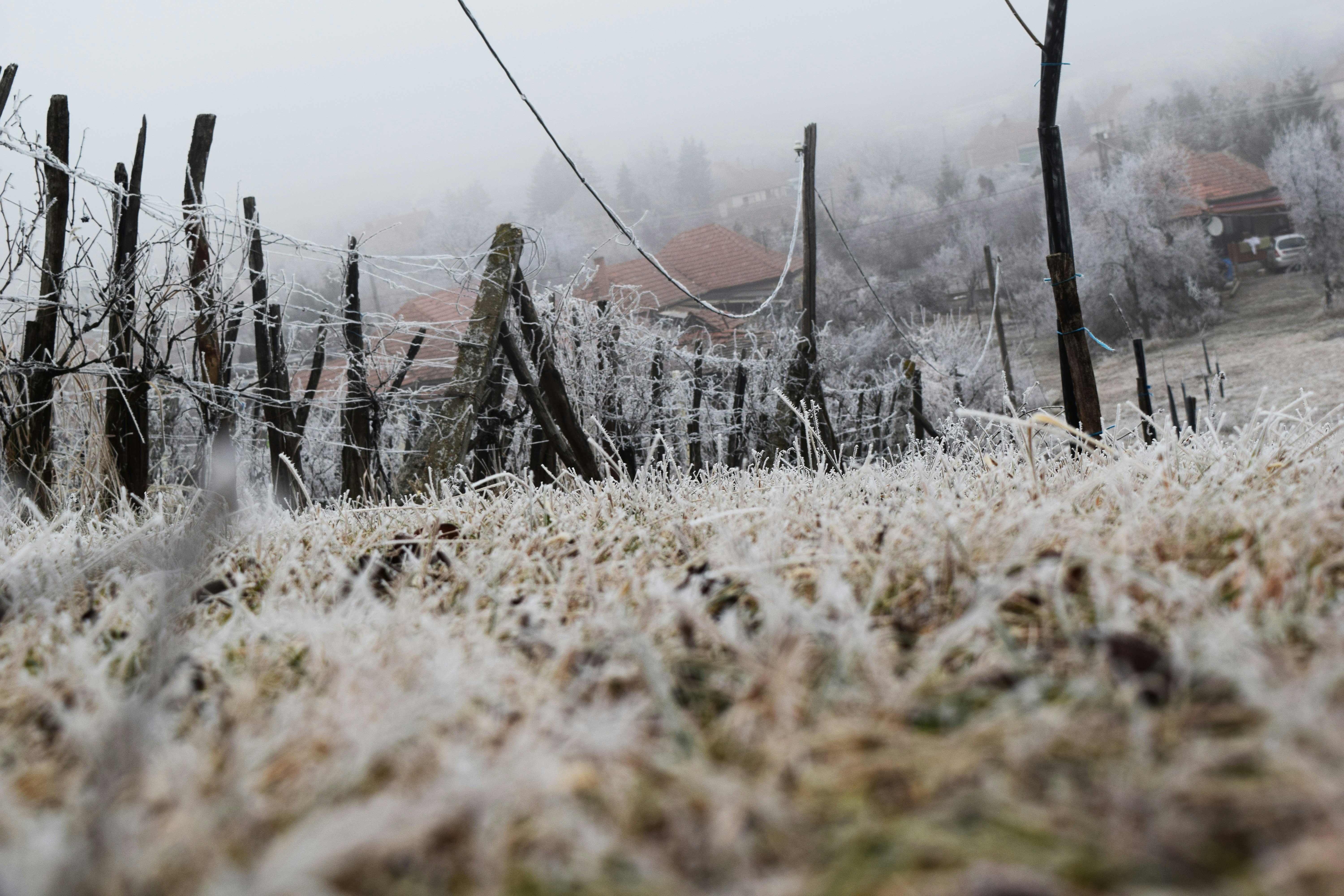 a field covered in frost next to a fence