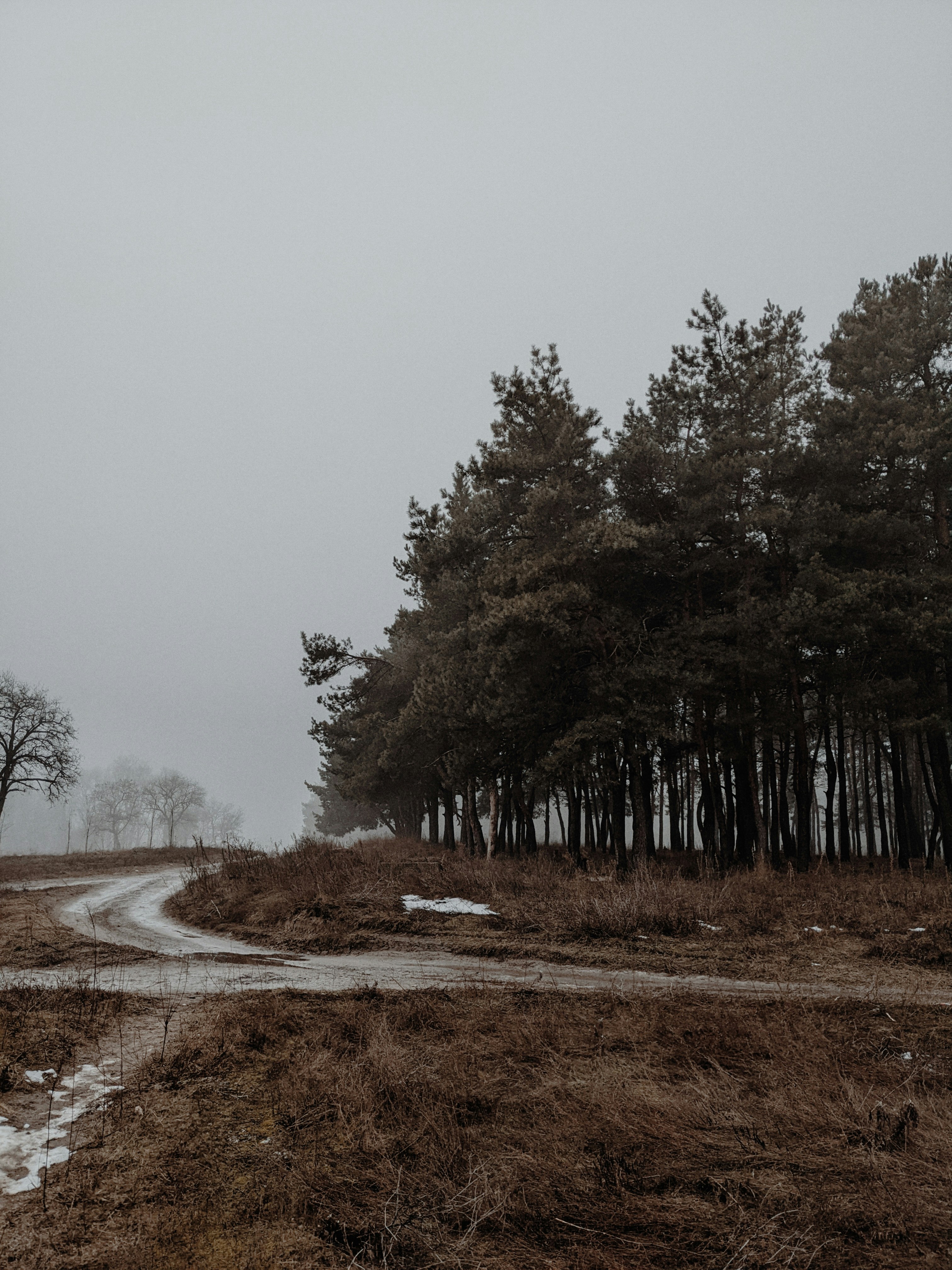 Photo by valeriiamiller