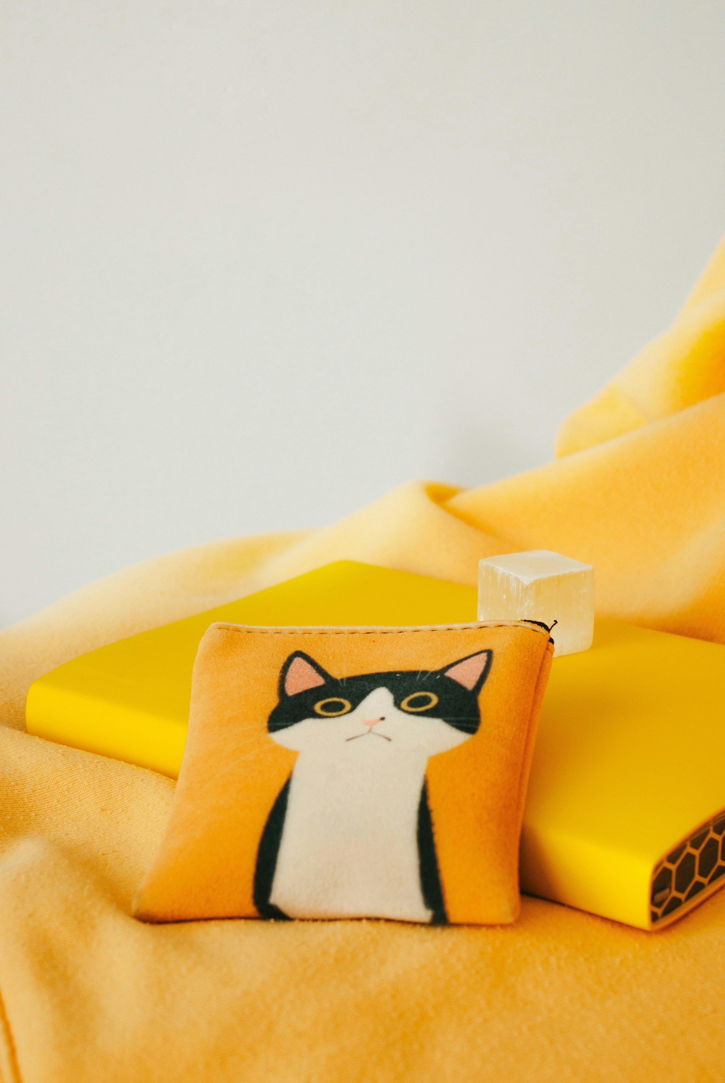 Photo by moonmoons_days