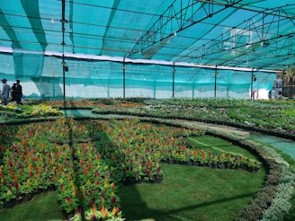 a group of people standing in a green house