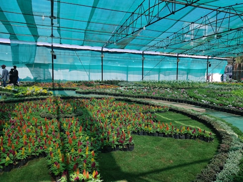 a group of people standing in a green house