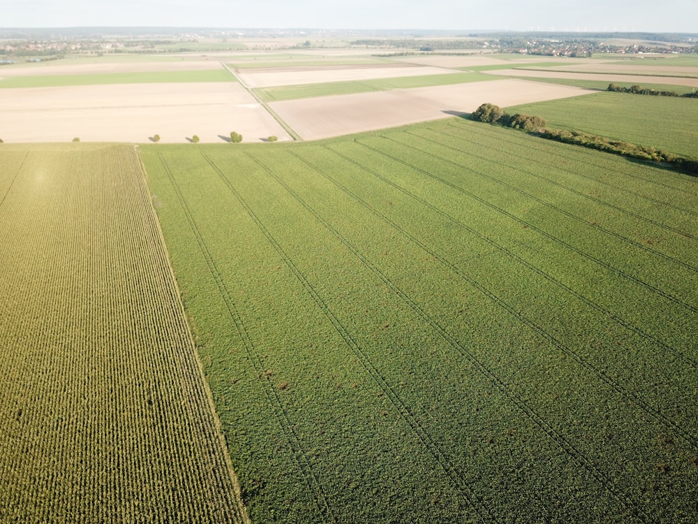 an aerial view of a large field of crops