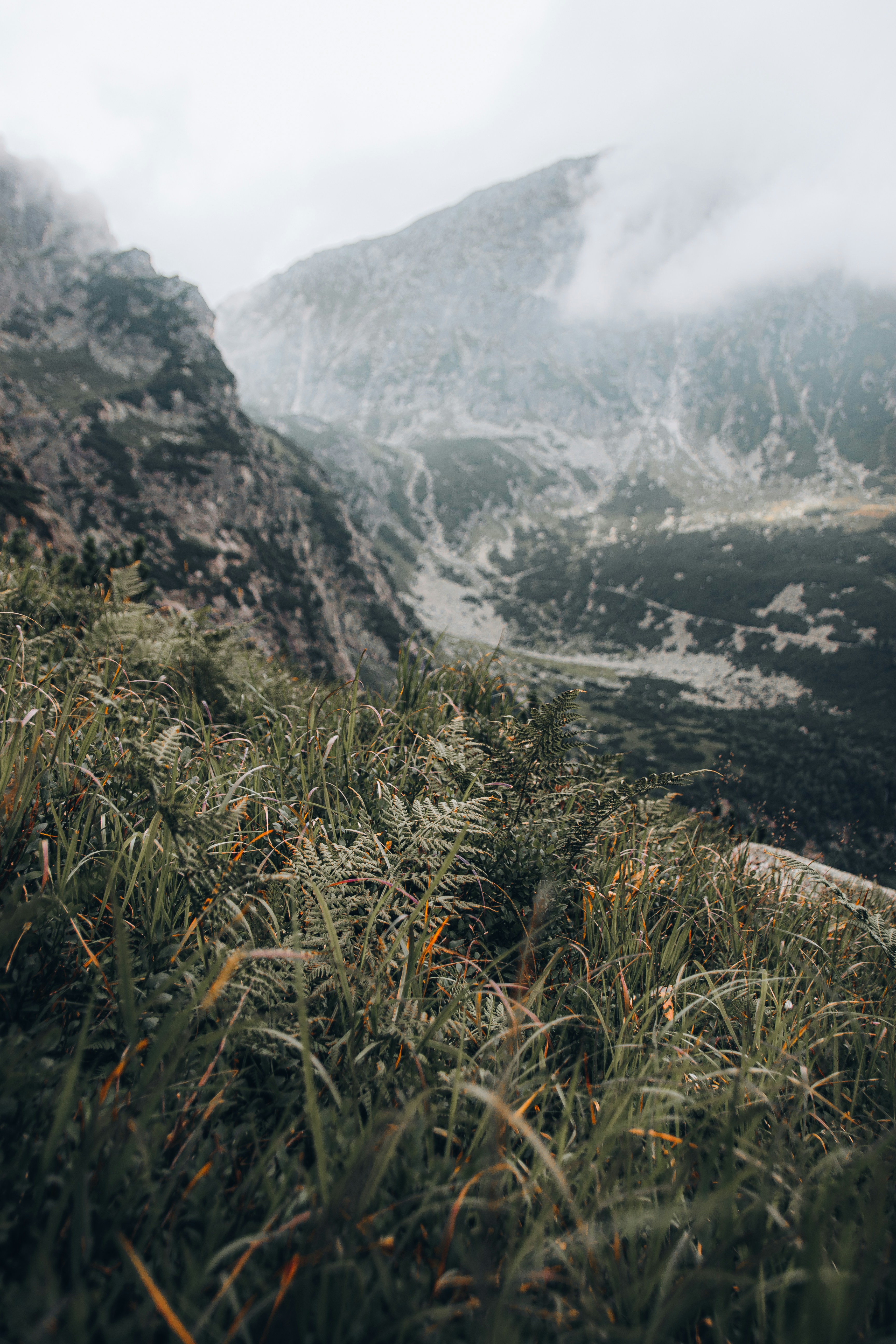 Photo by artstanulevich