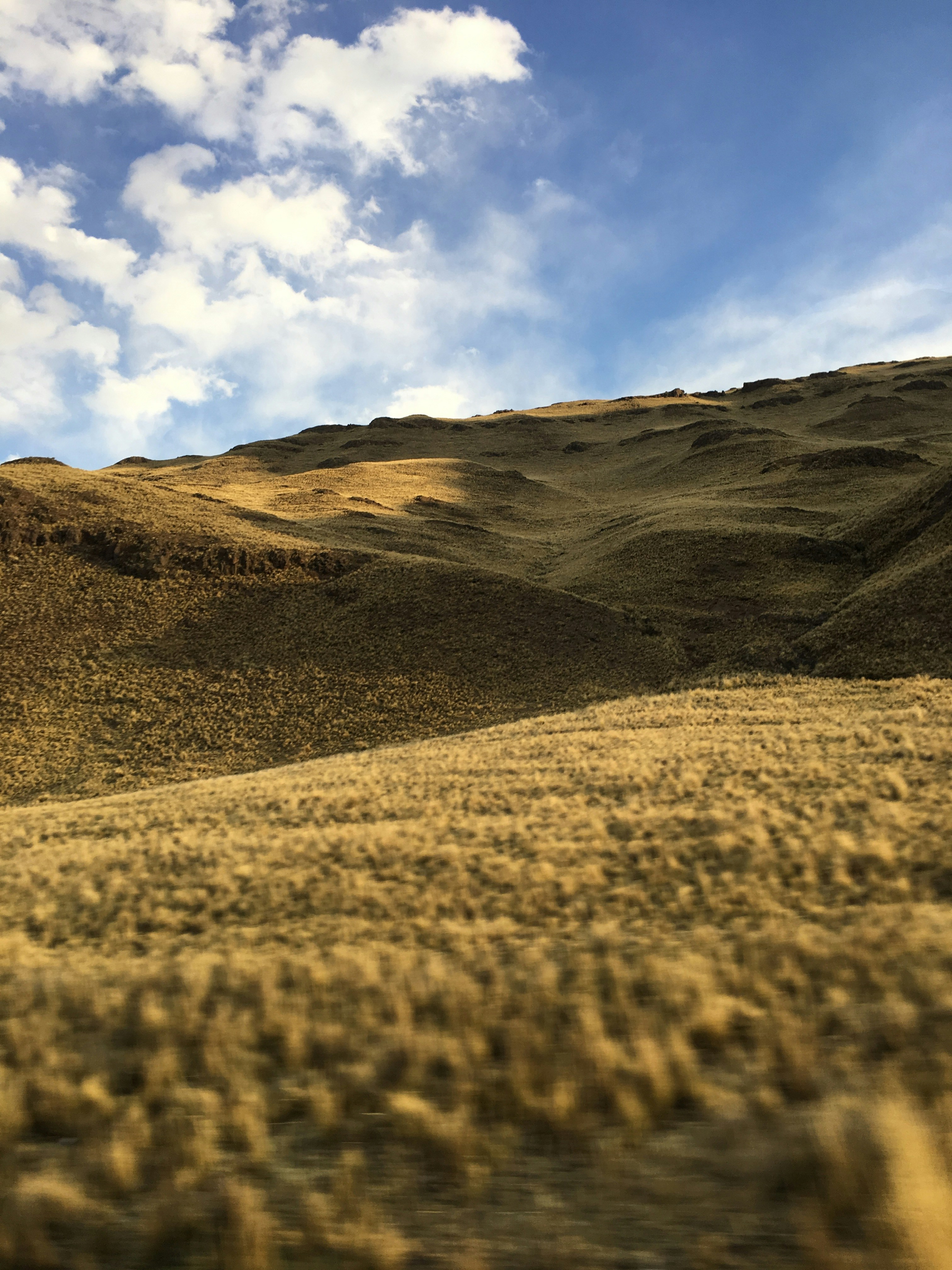 Photo by fajschreurs