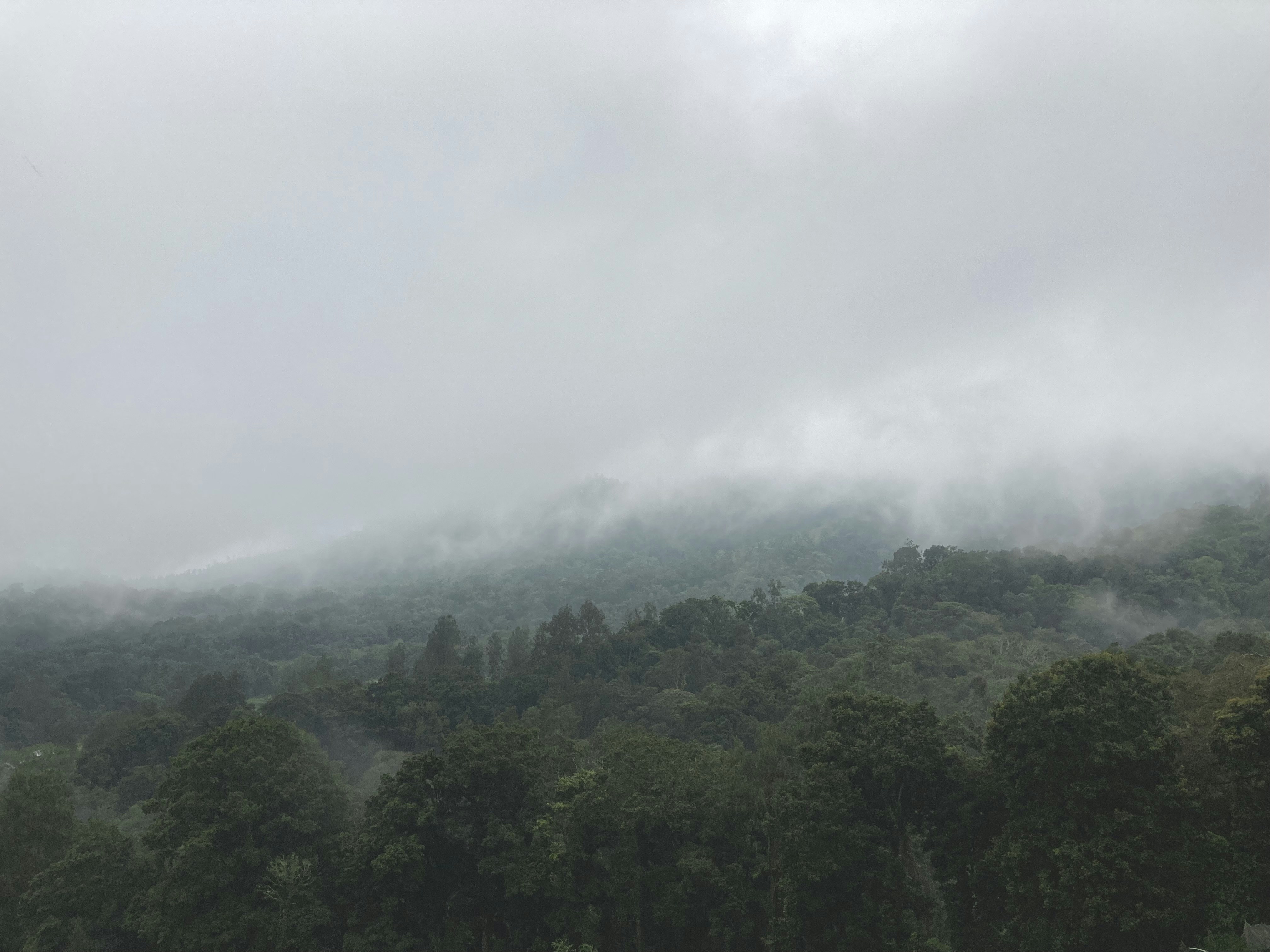 Photo by fiermansyahd