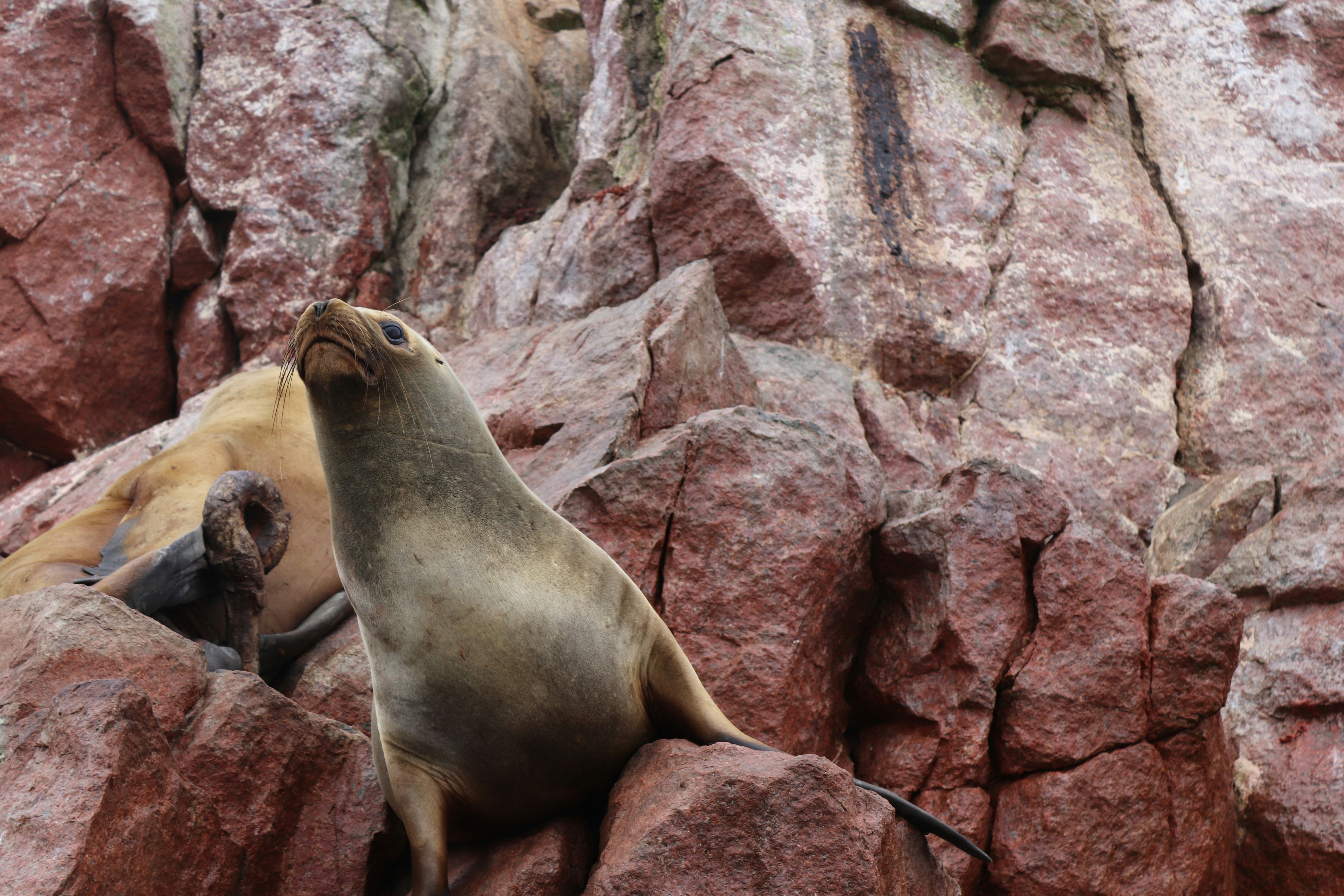 Photo by fajschreurs