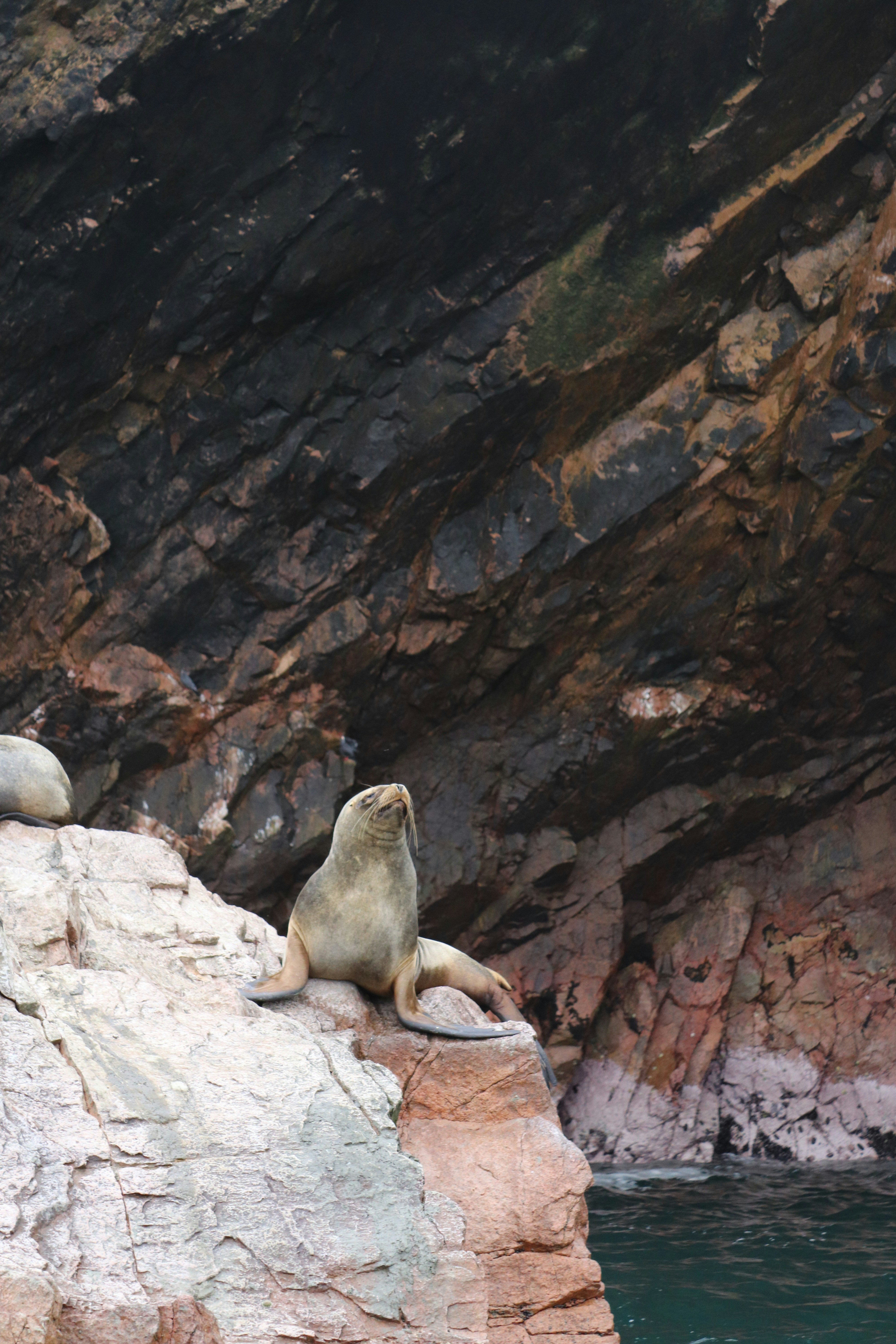 Photo by fajschreurs