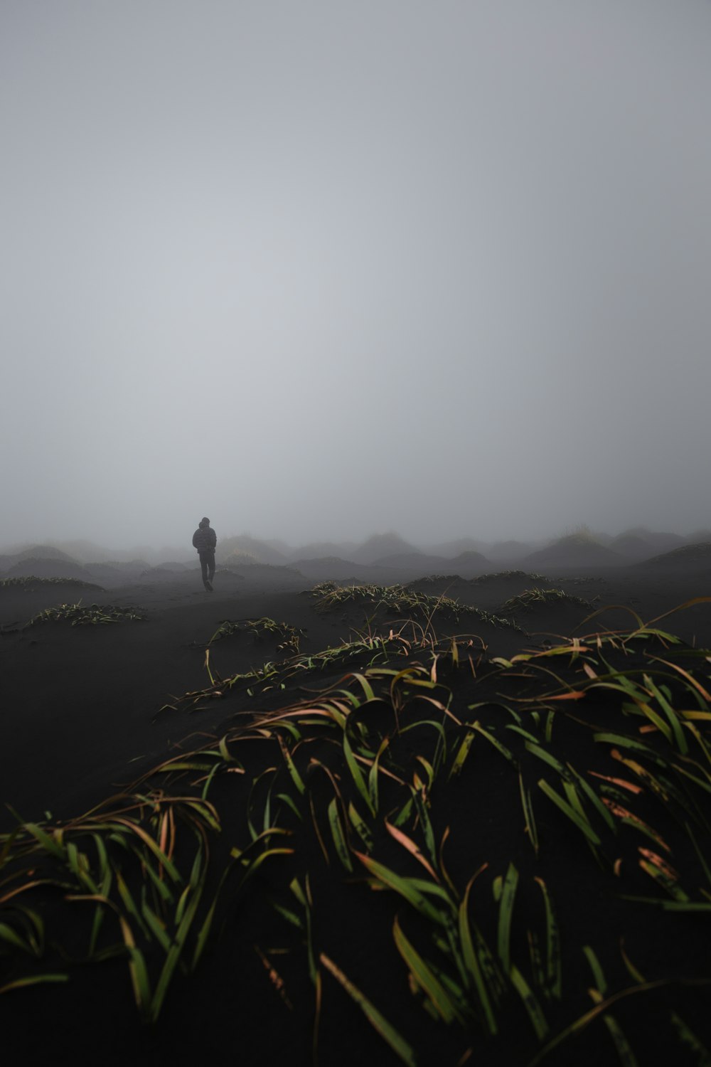 Una persona sola in piedi nel mezzo di un campo nebbioso