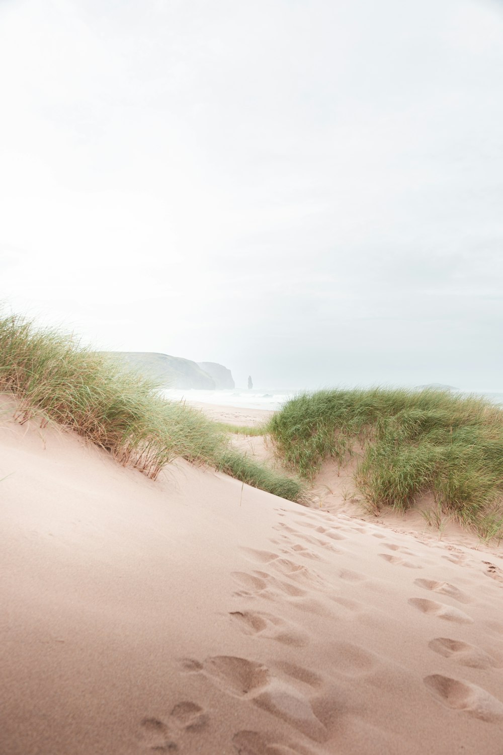 a sandy beach with grass and footprints in the sand