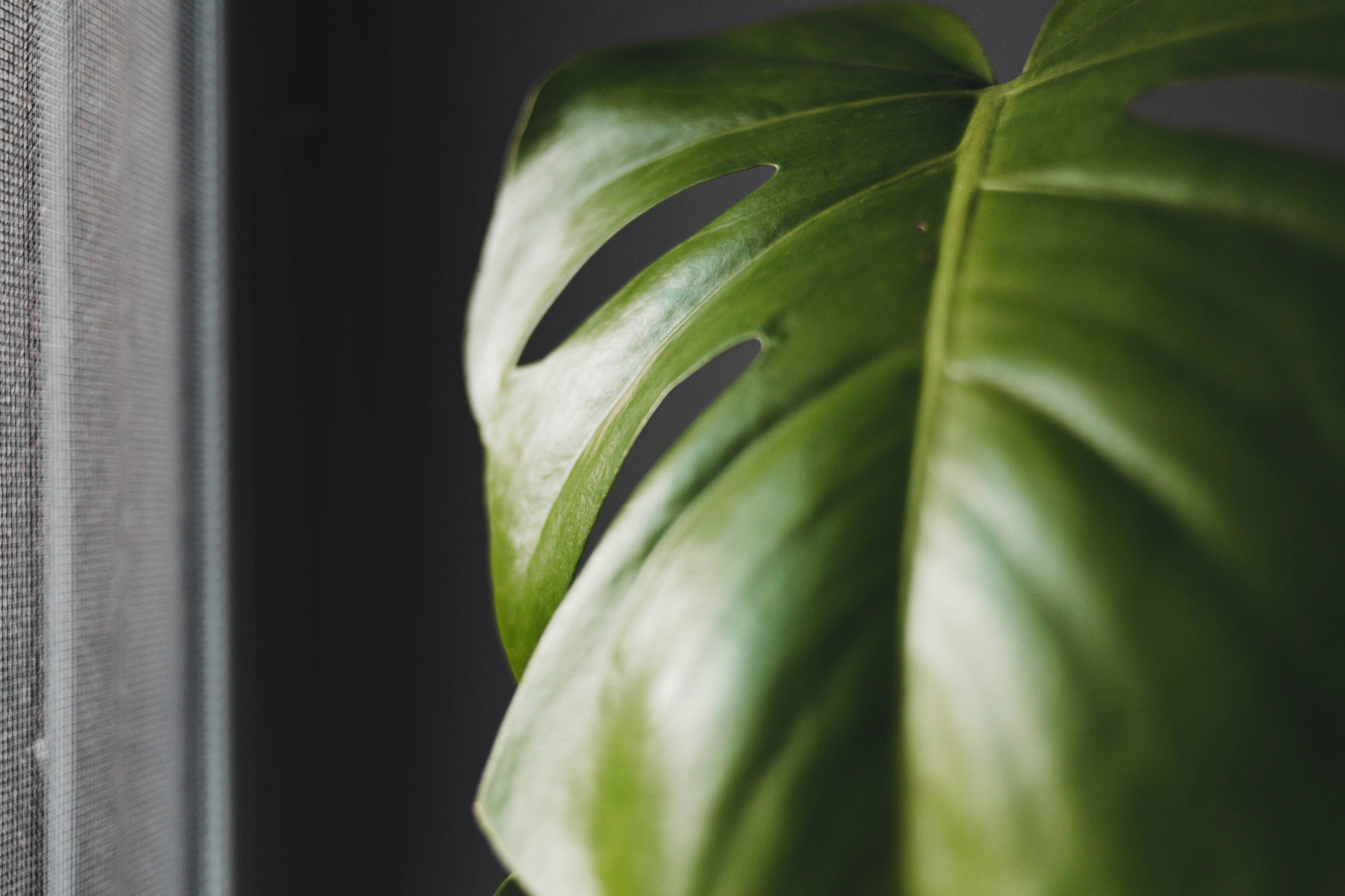 Photo by introspectivedsgn