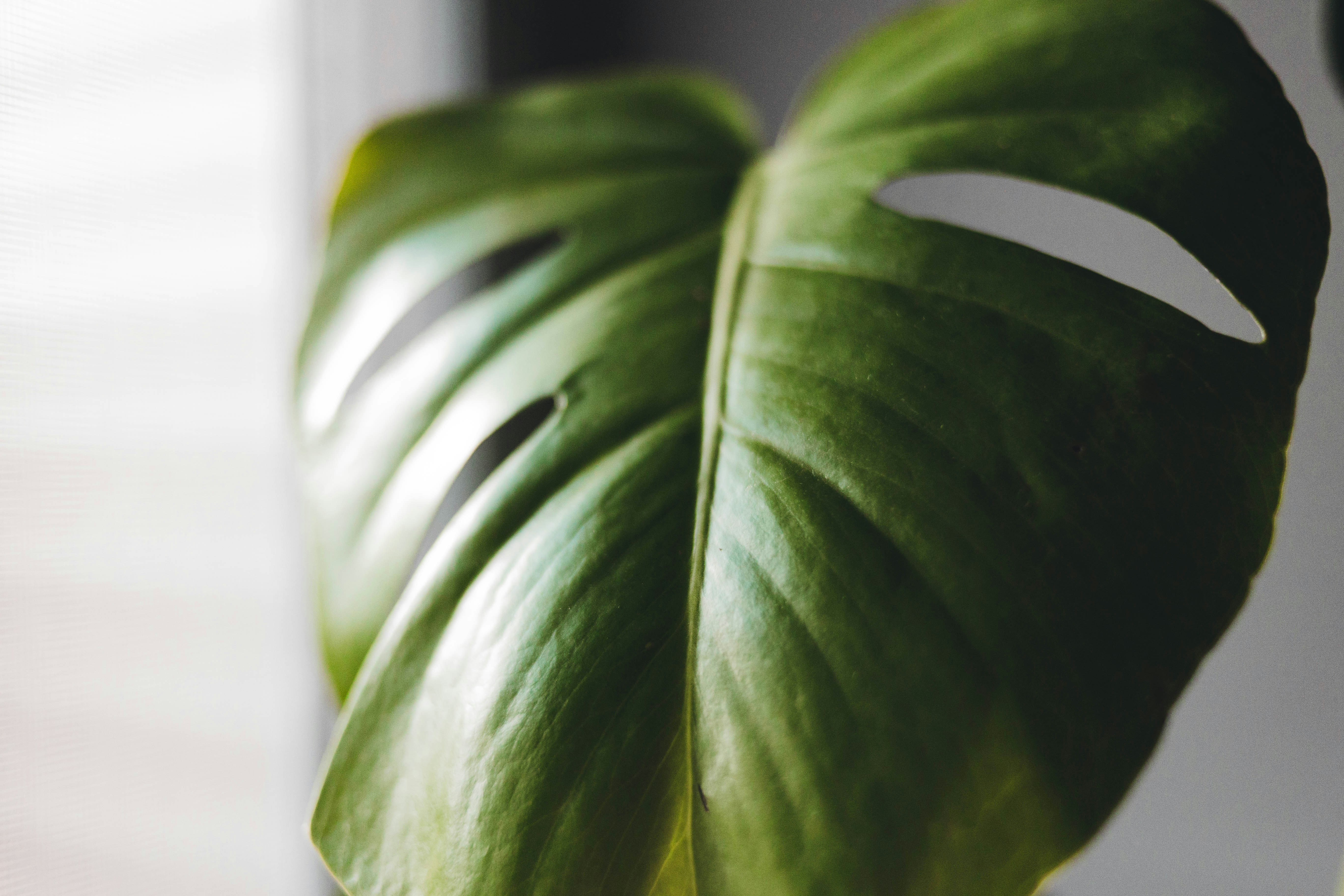 Photo by introspectivedsgn