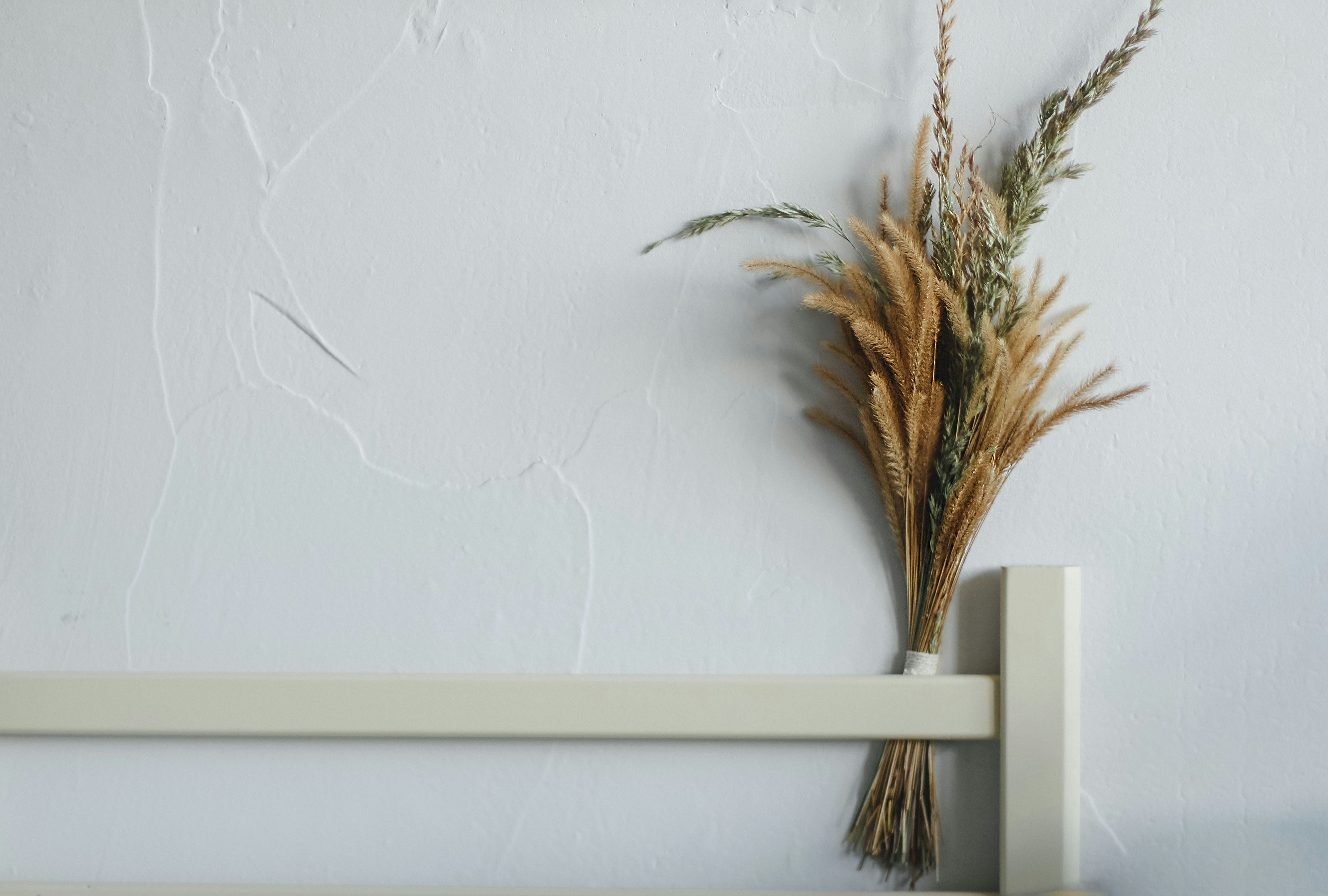 趣味道具を10個に絞っても楽しさは変わらない？効率術関連画像