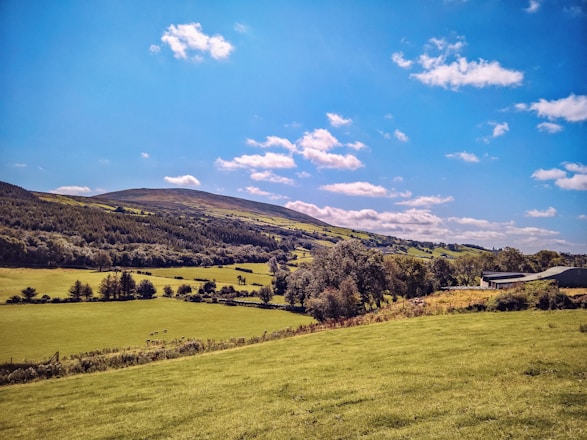a green field with trees and hills in the background