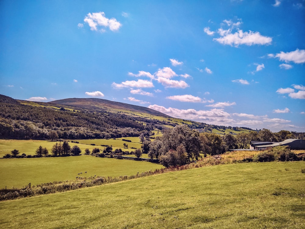 a green field with trees and hills in the background