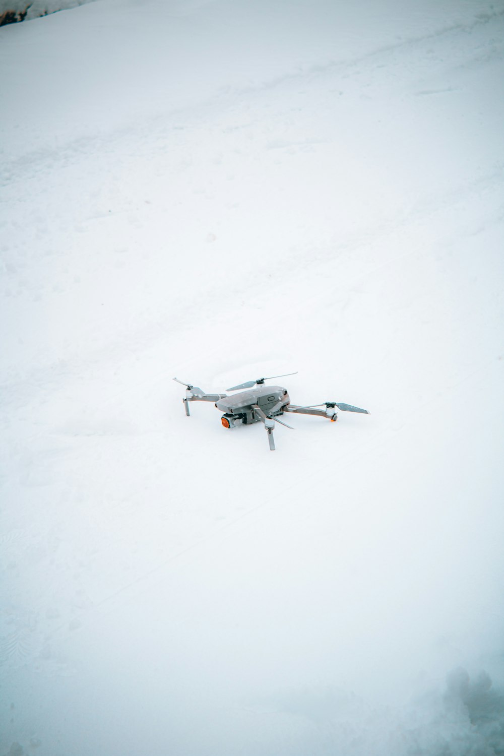 Ein kleines Flugzeug sitzt auf einem schneebedeckten Feld