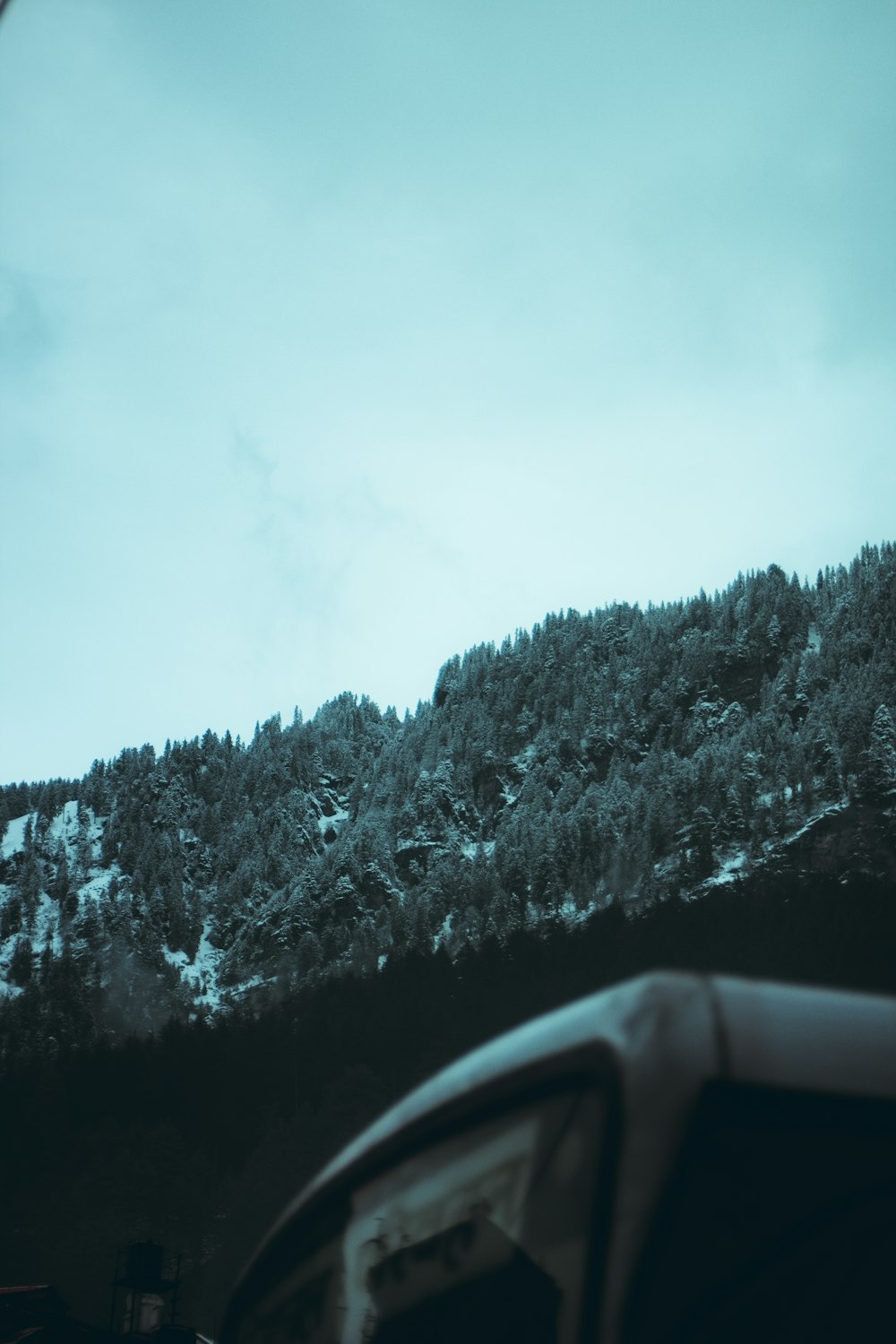 a car driving down a road next to a forest