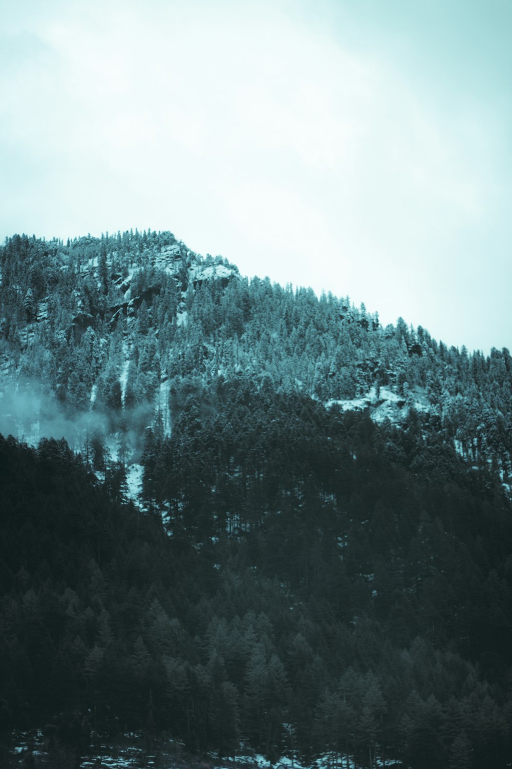 a mountain covered in snow with trees in the foreground