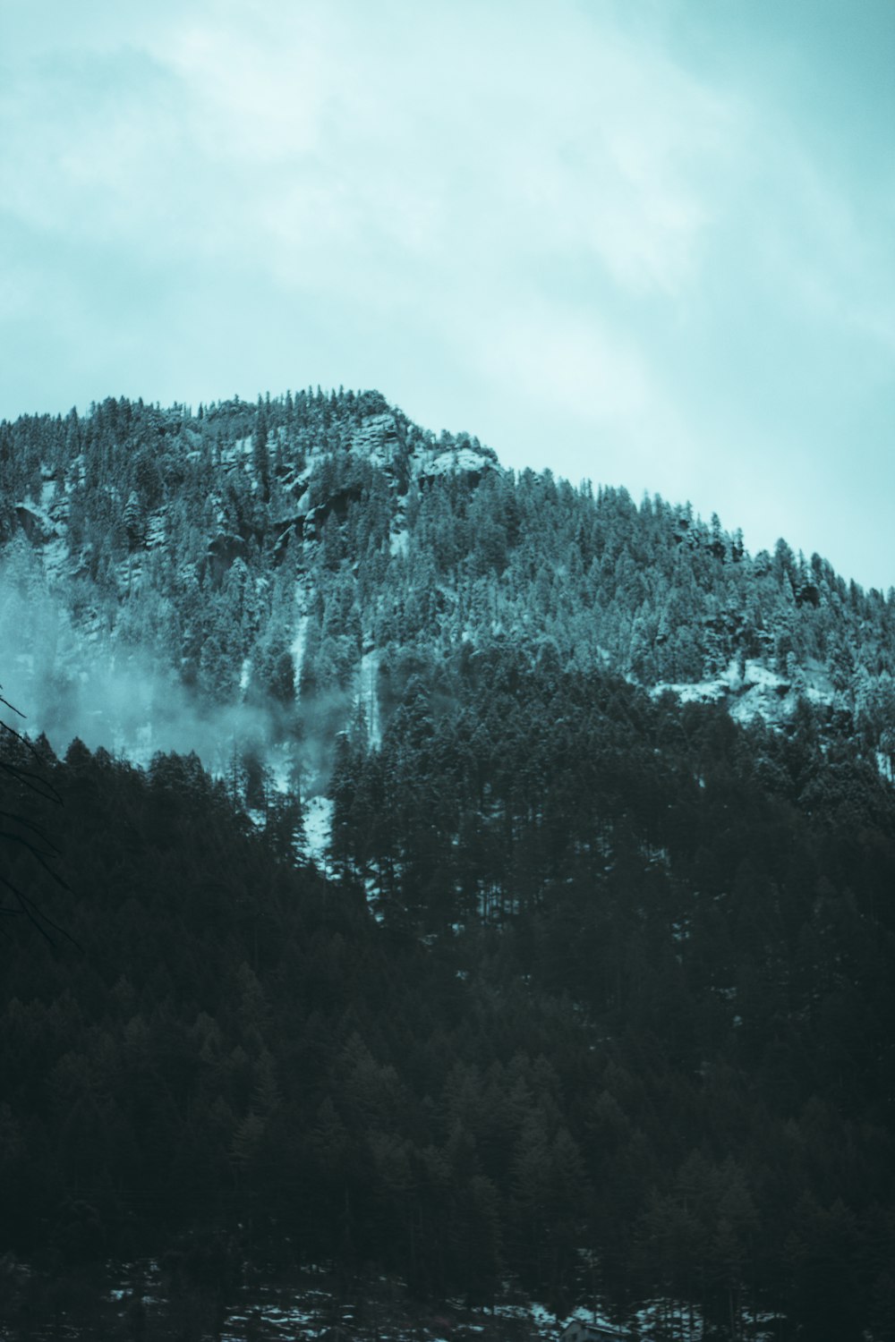 a mountain covered in snow next to a forest