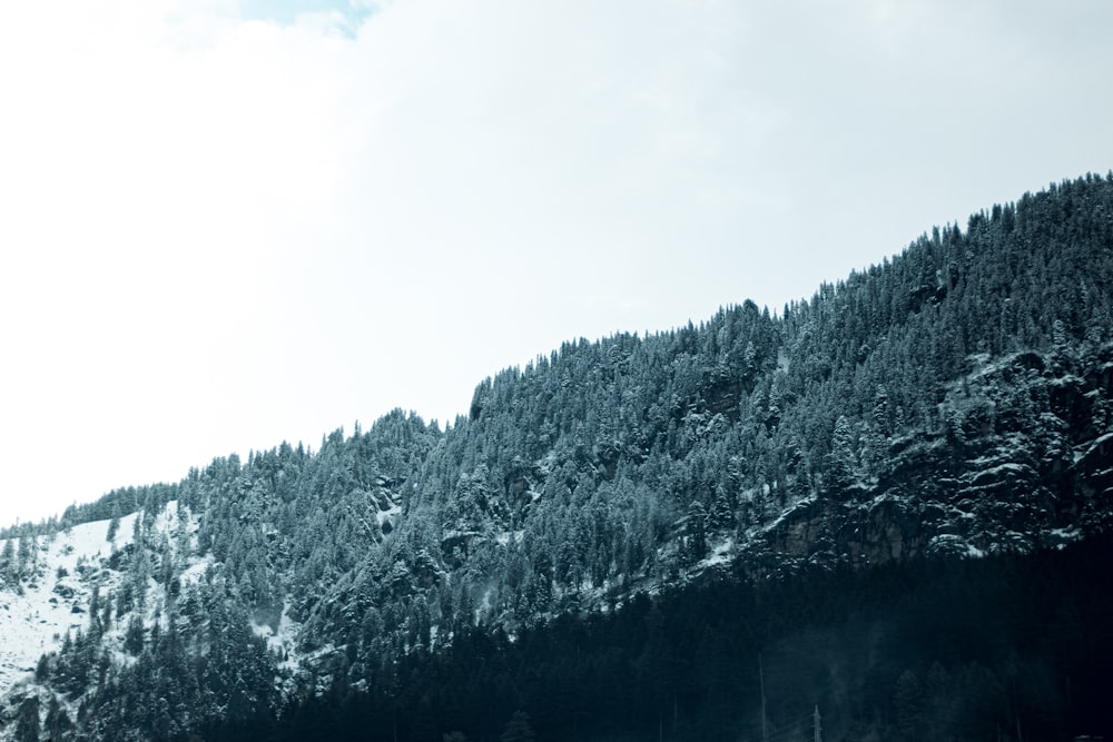 a mountain covered in snow with trees in the background