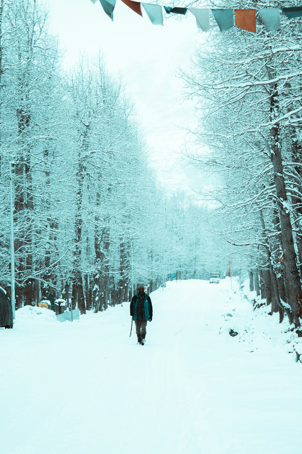 a person walking through a snow covered forest