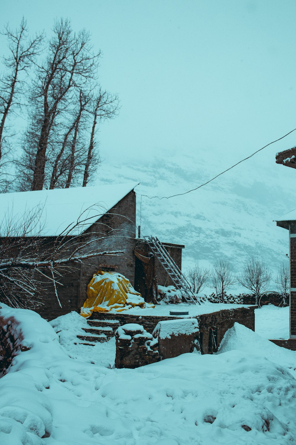 a snow covered yard with a house in the background