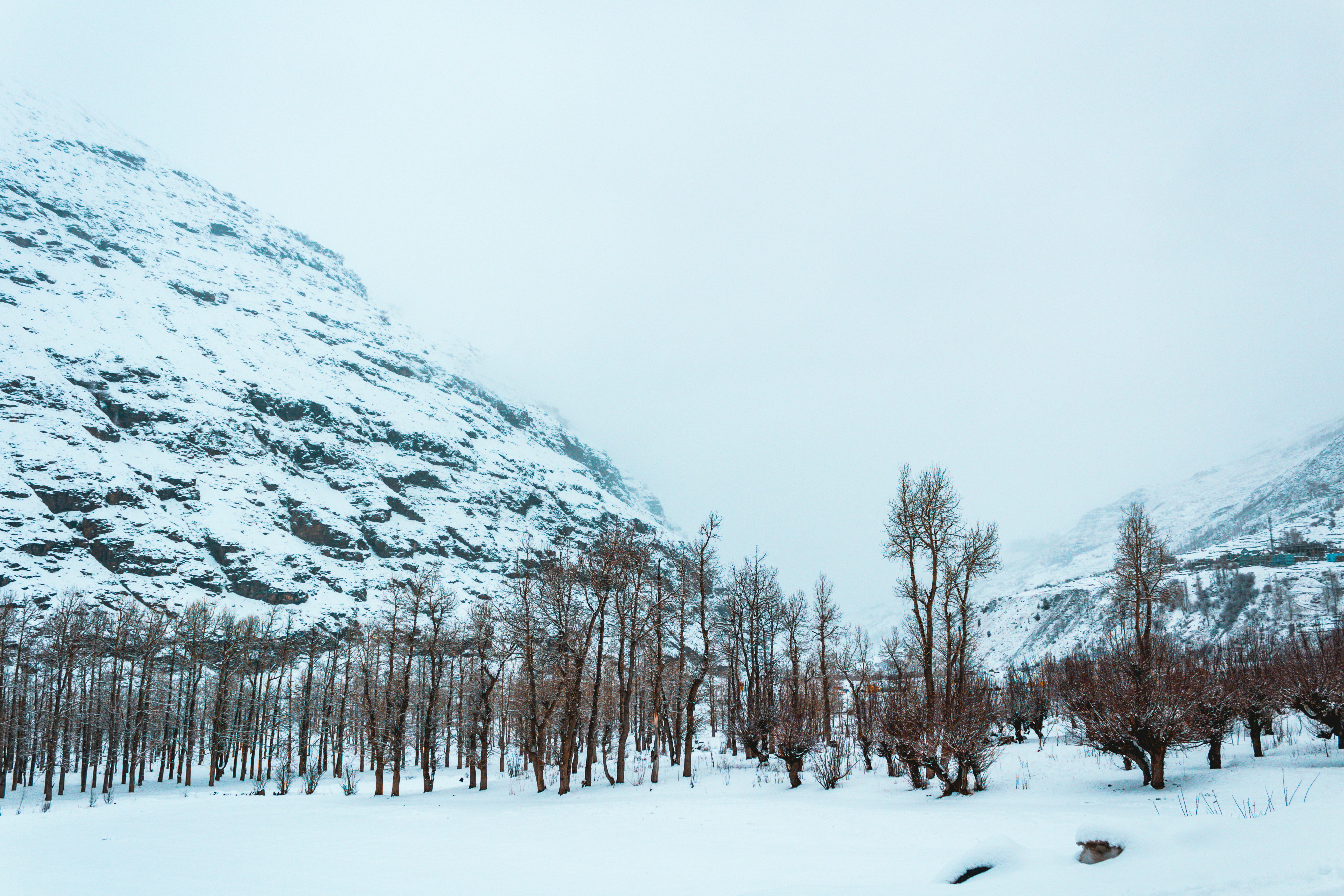 Photo by photophilic_spook