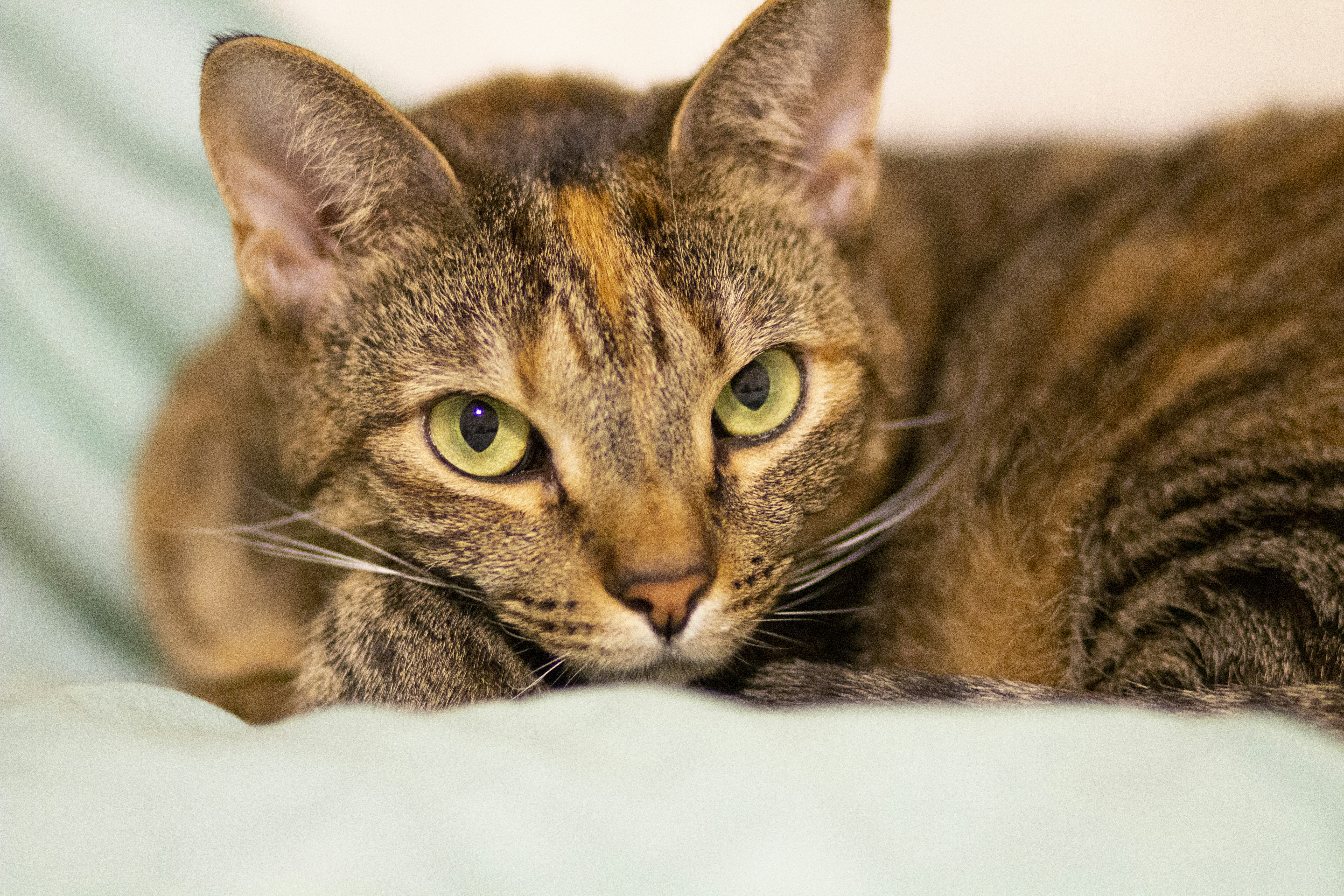 Photo by meganstallings