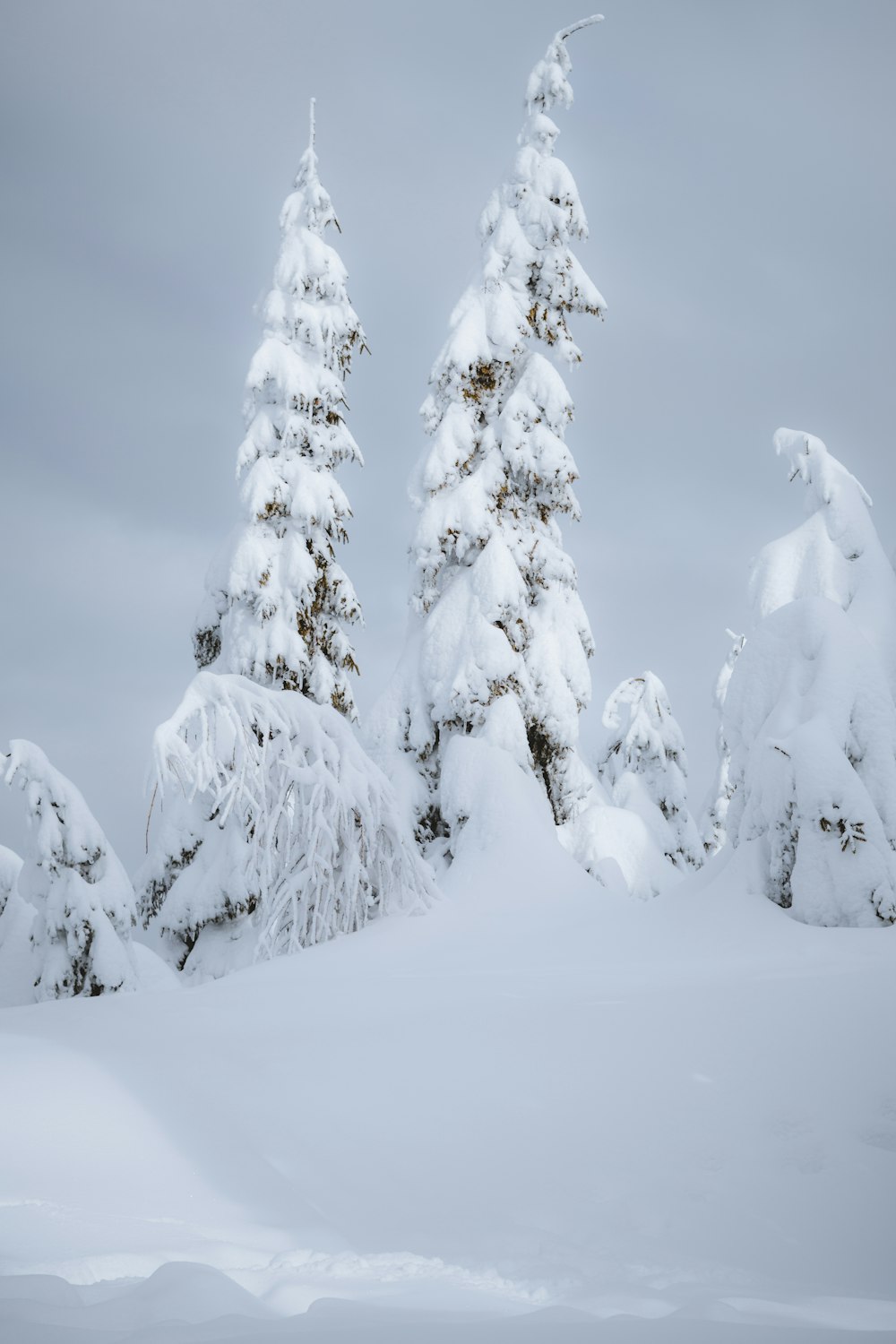 a man riding skis down a snow covered slope