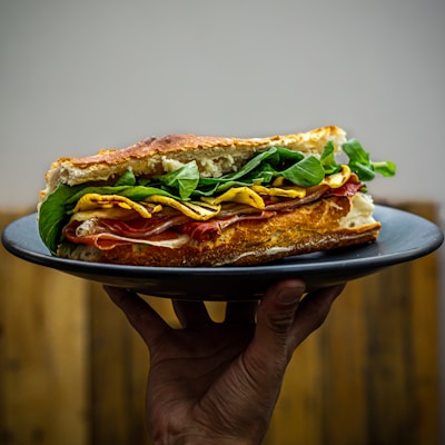 a person holding a plate with a sandwich on it