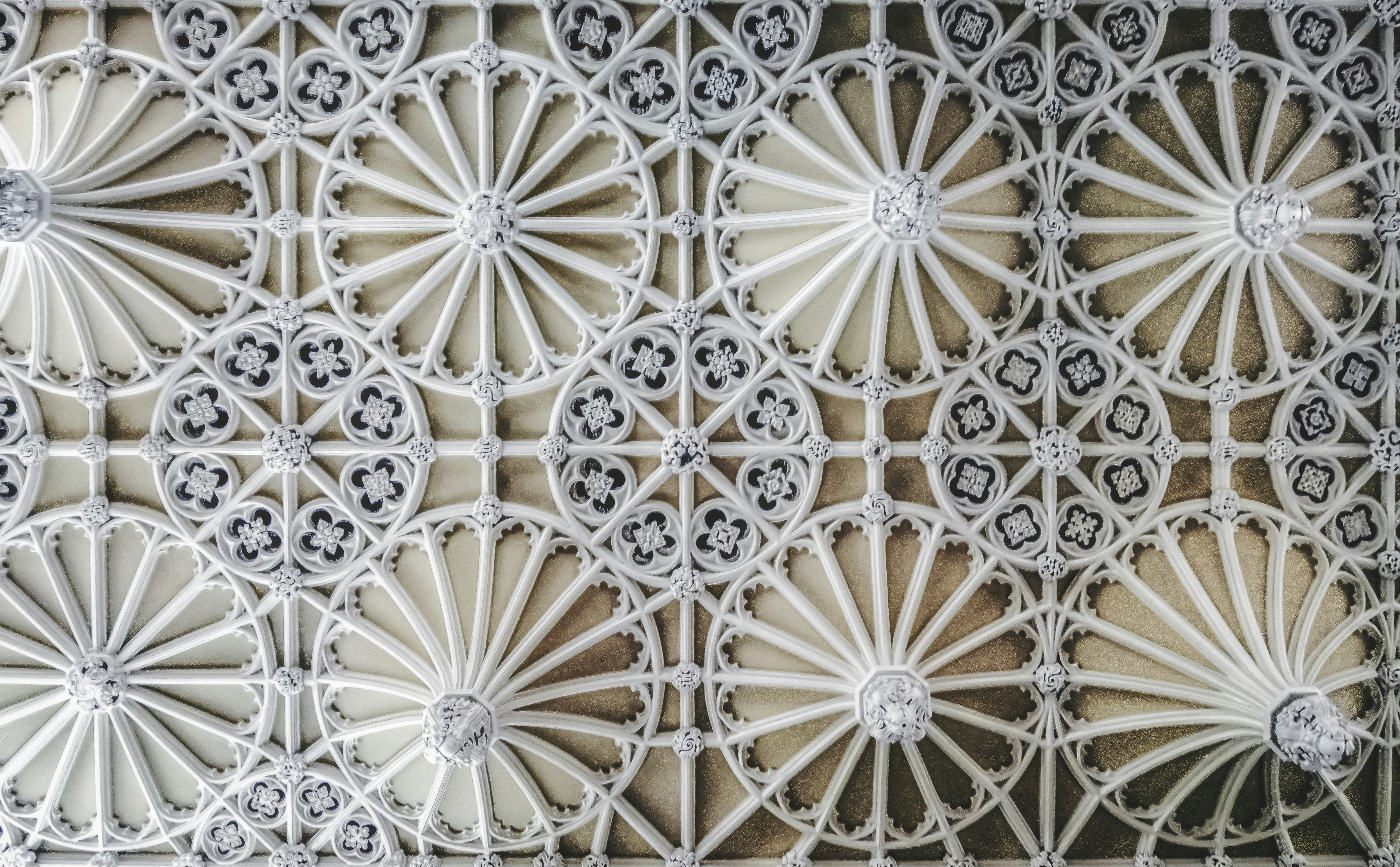 Photo by kmitchhodge