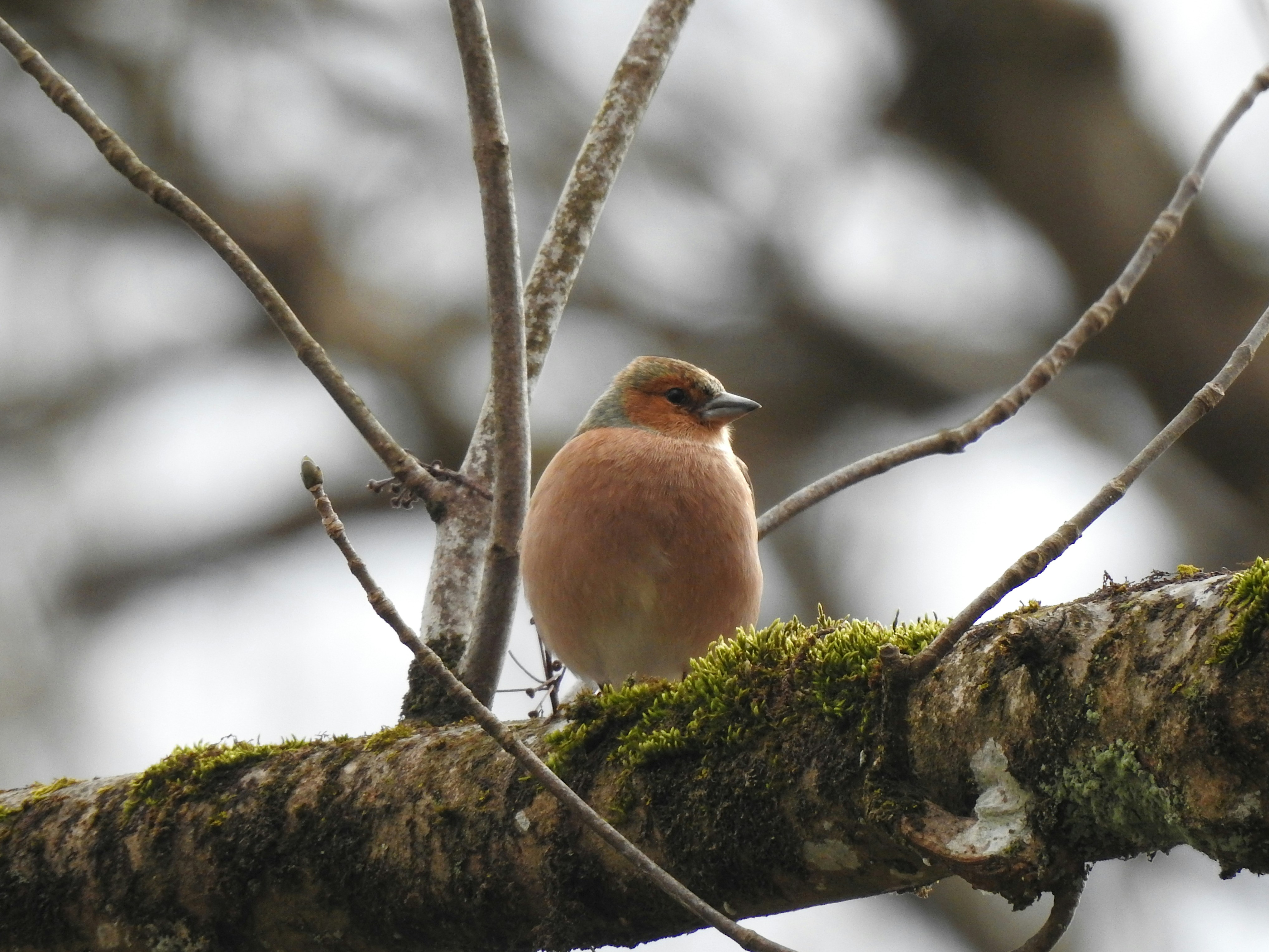 Photo by artemisdesign