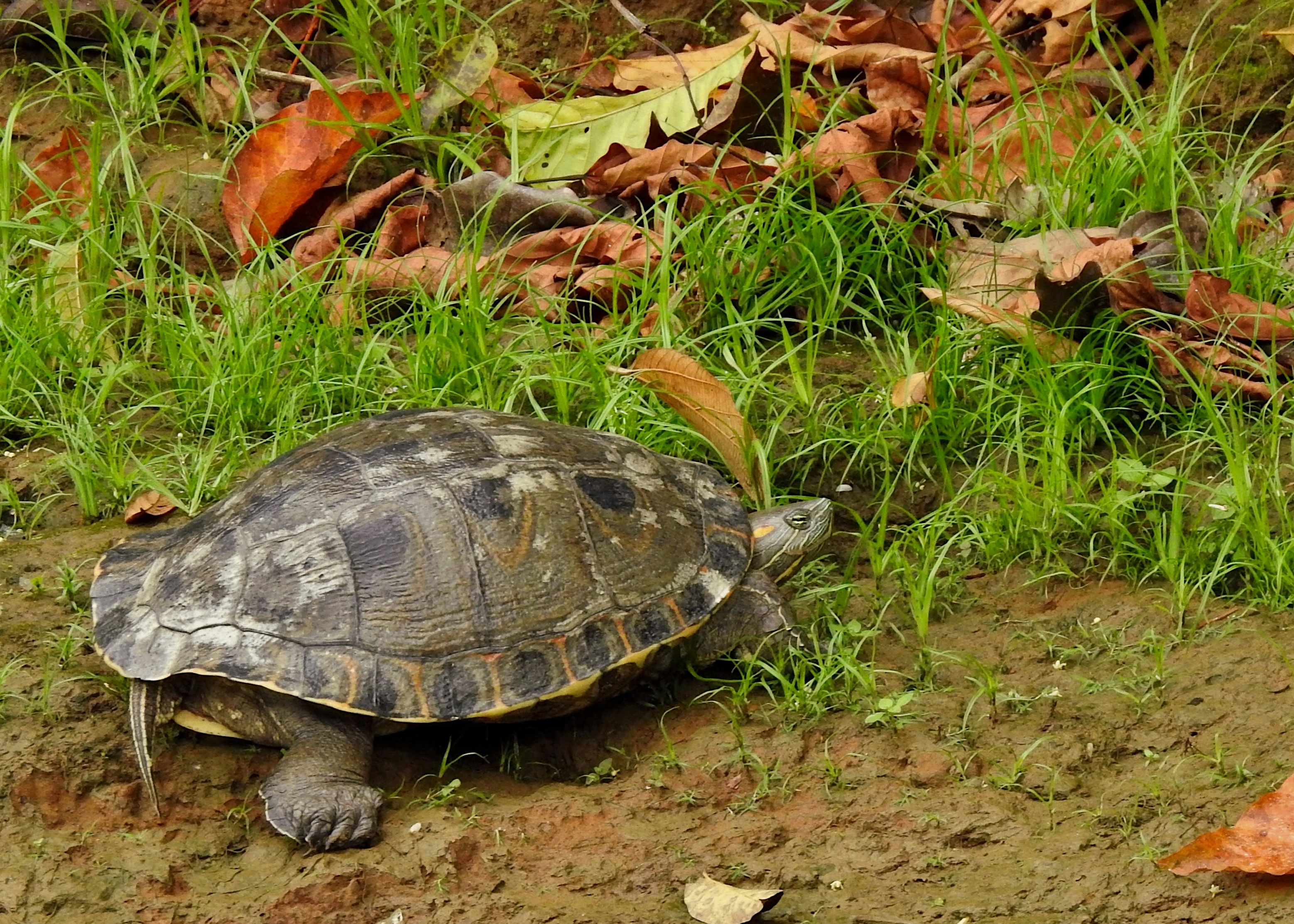 Photo by artemisdesign