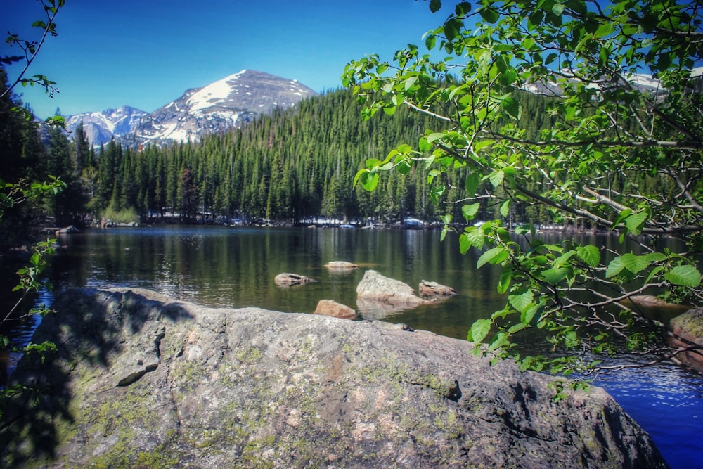 Un lago de montaña rodeado de árboles y rocas