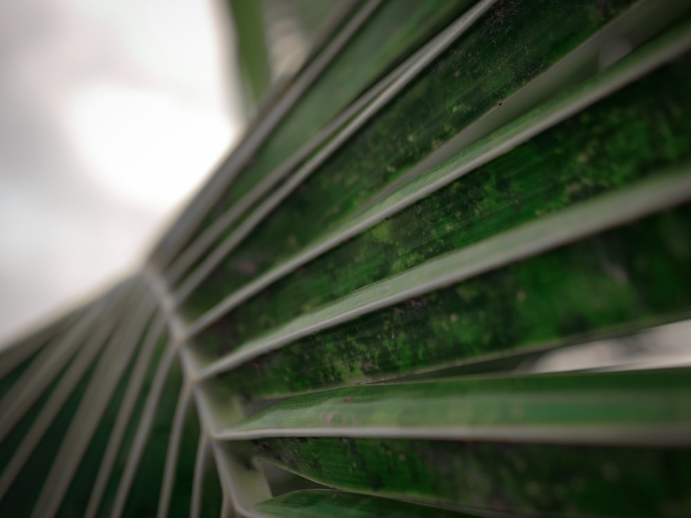 a close up of a green metal structure